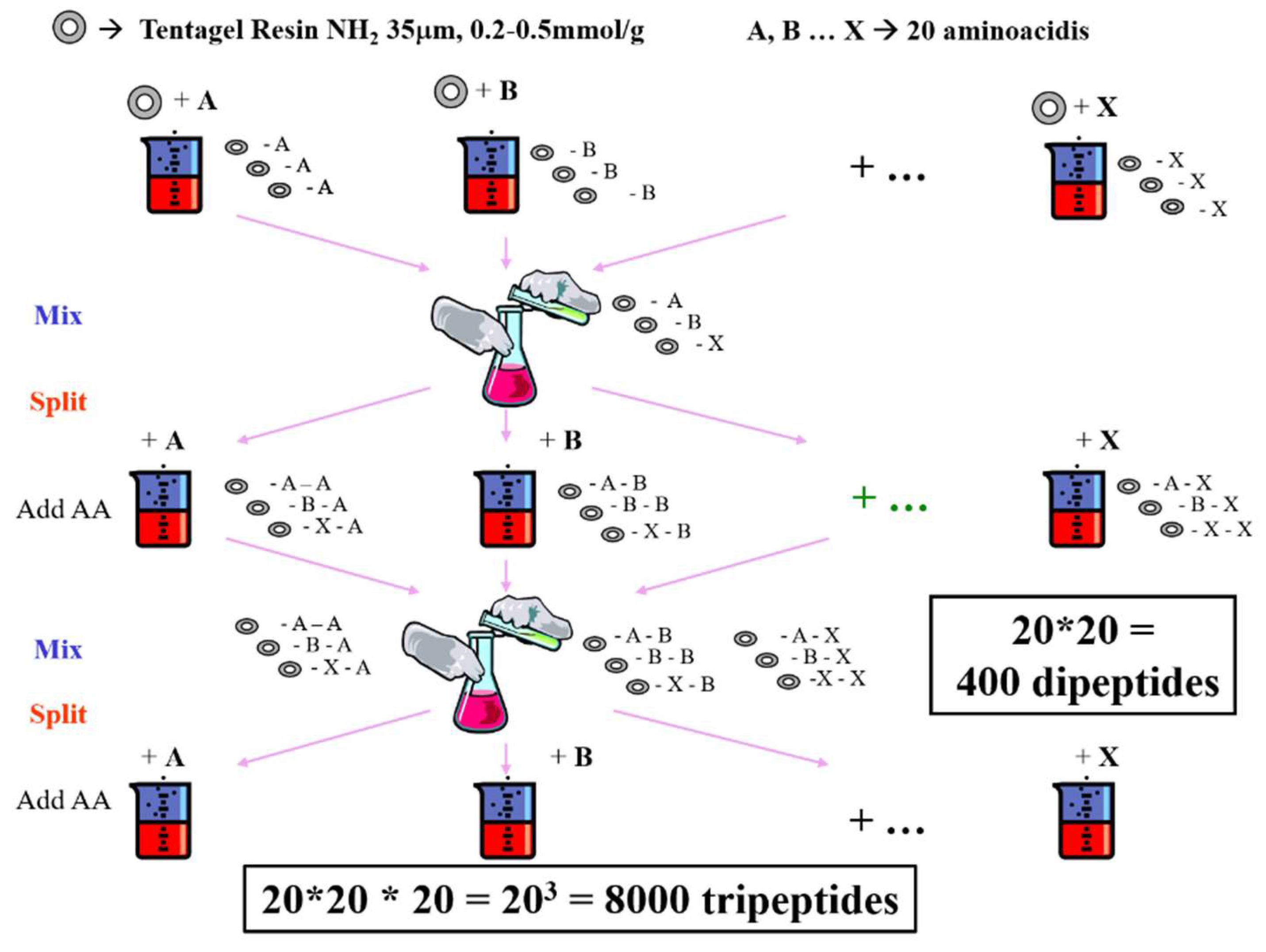 Molecules 26 07061 g002