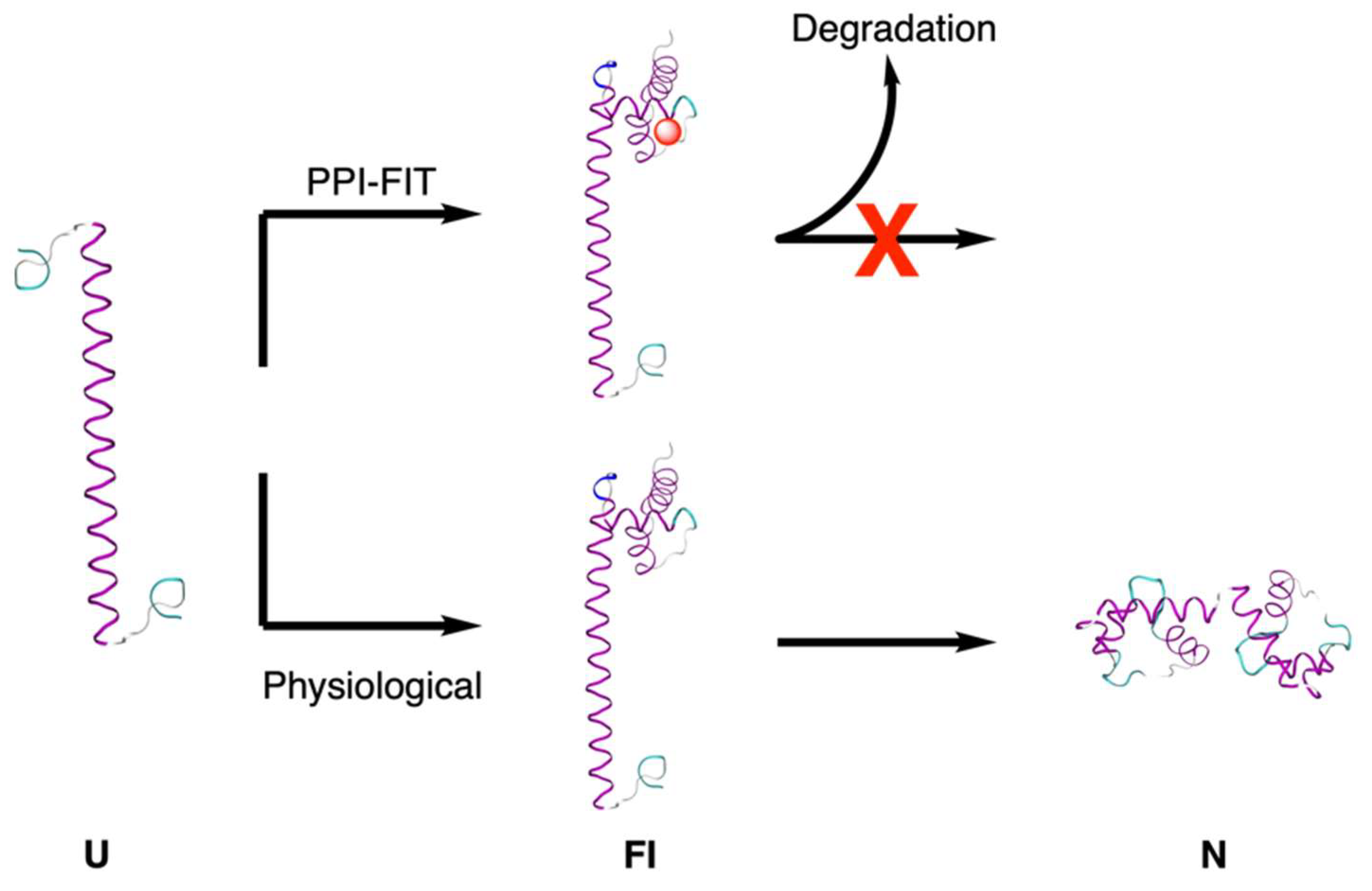 Molecules 26 07061 g003