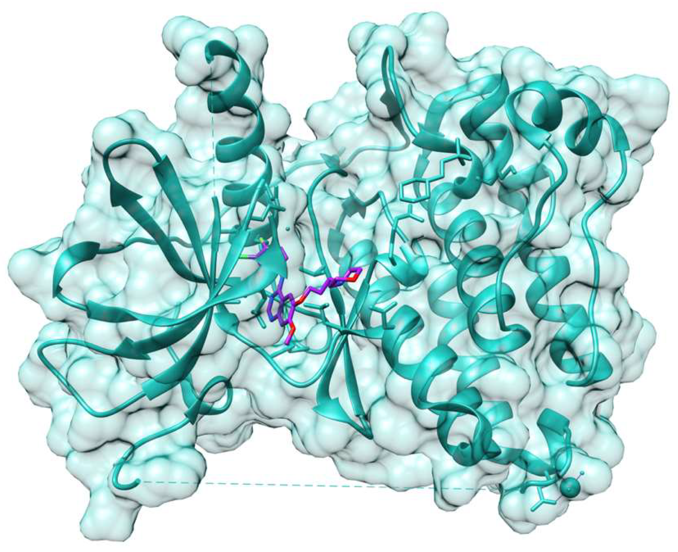 Molecules 26 07061 g004