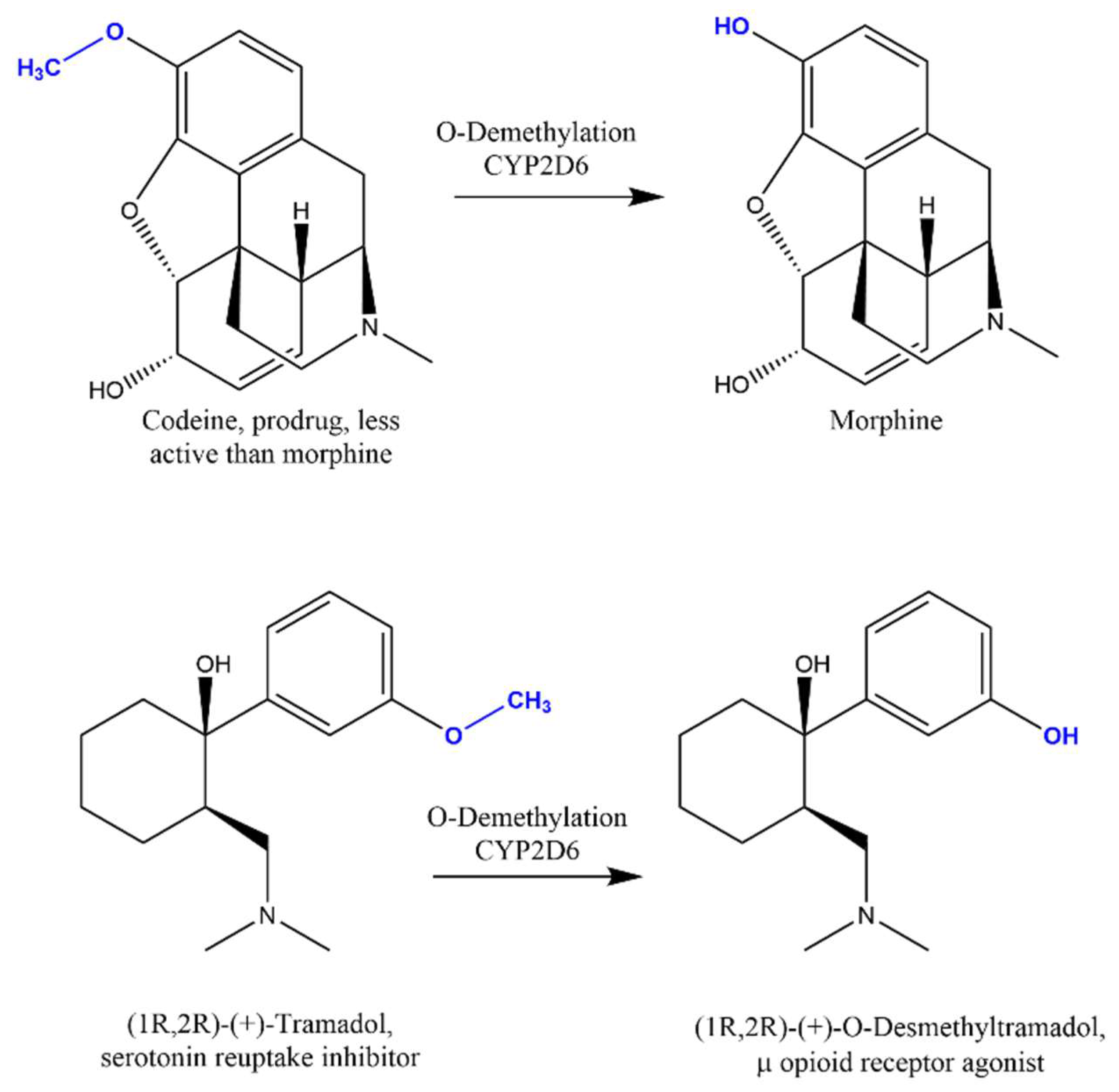 Molecules 26 07061 g005