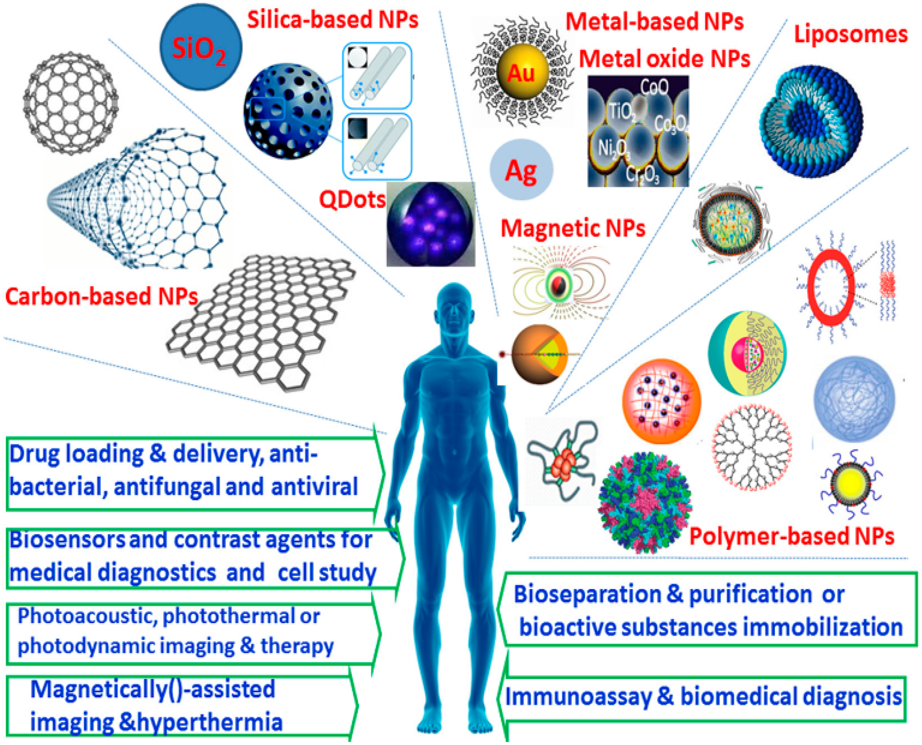 Molecules 26 07063 g005