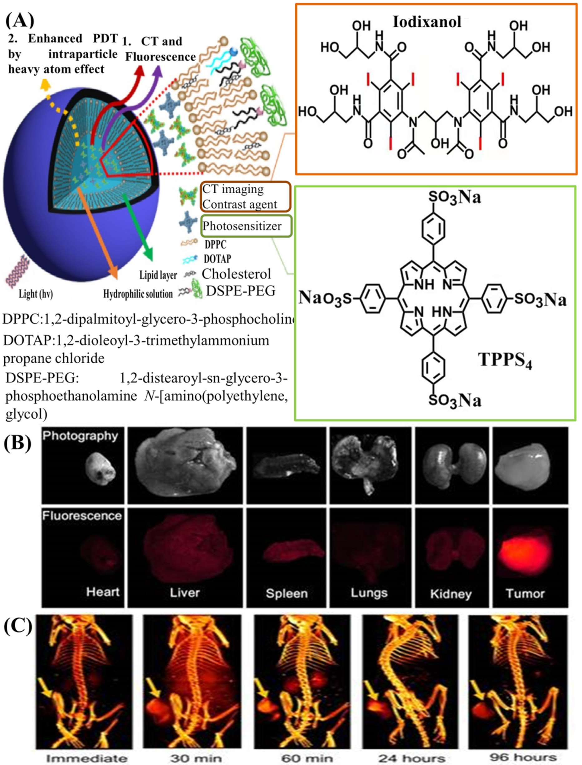Molecules 26 07063 g007