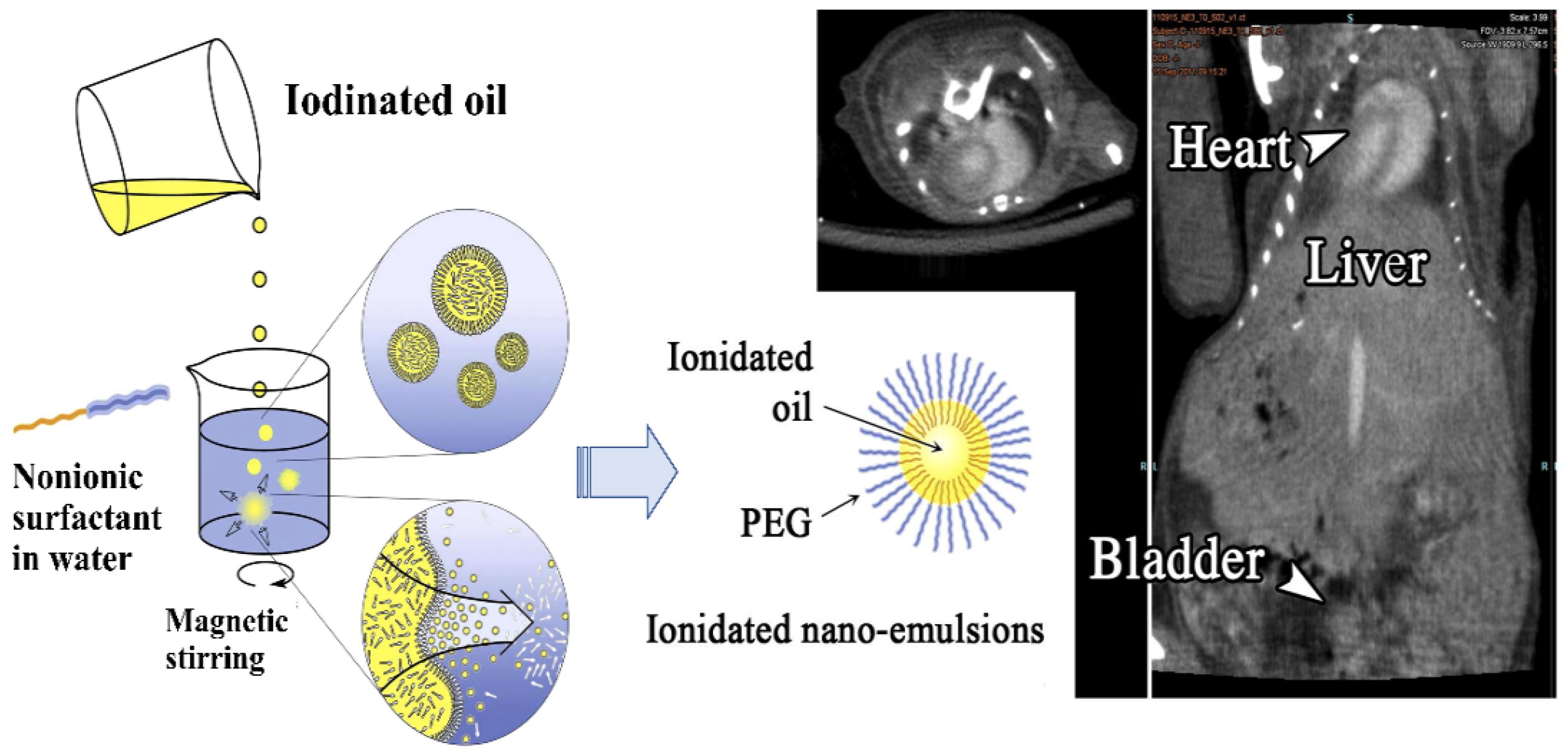 Molecules 26 07063 g008