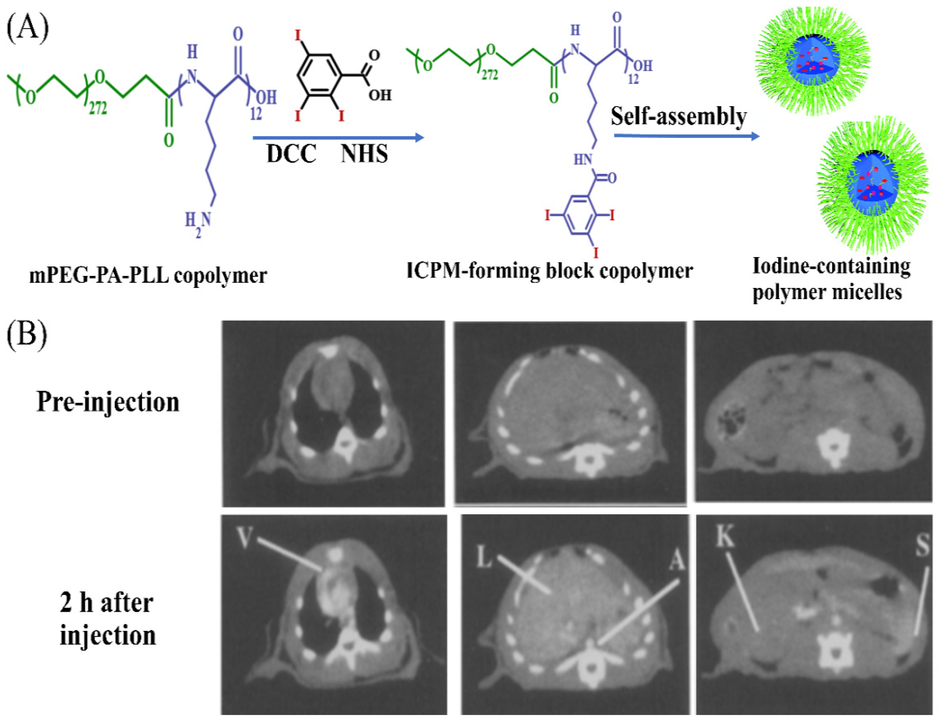 Molecules 26 07063 g010