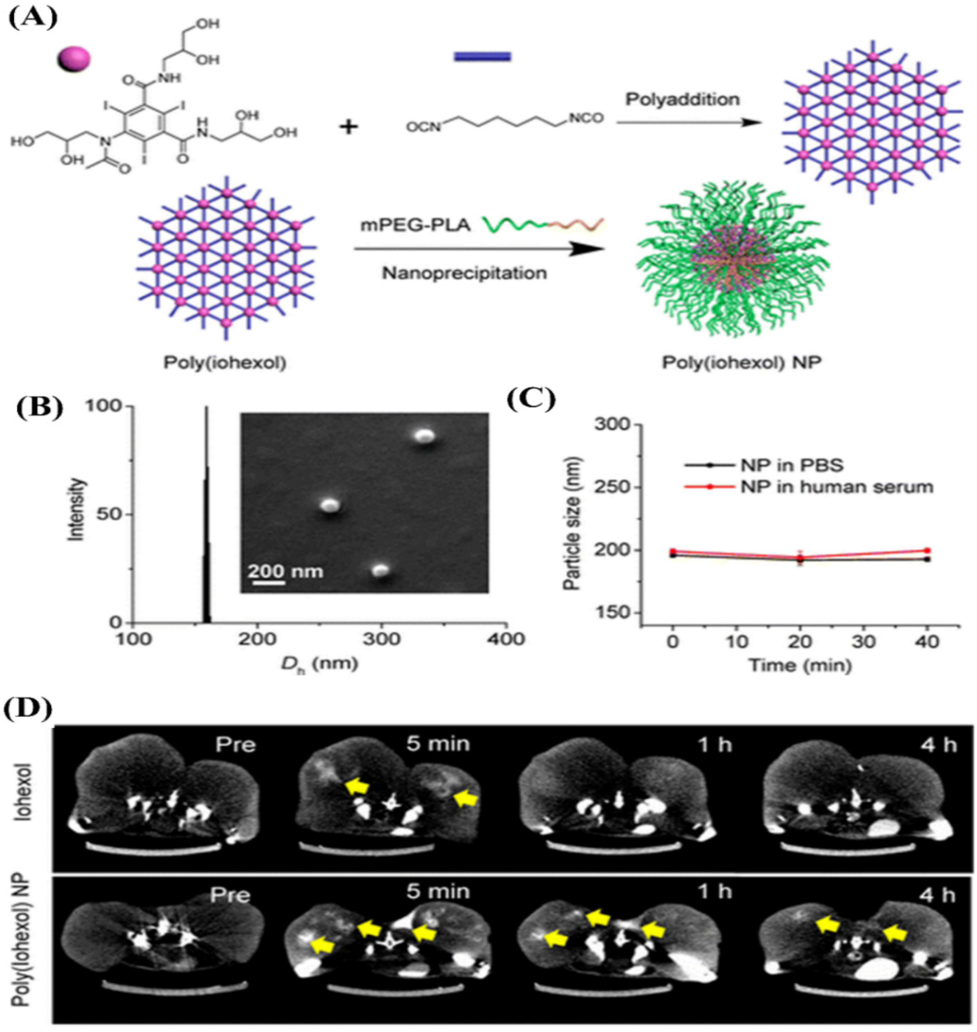 Molecules 26 07063 g017
