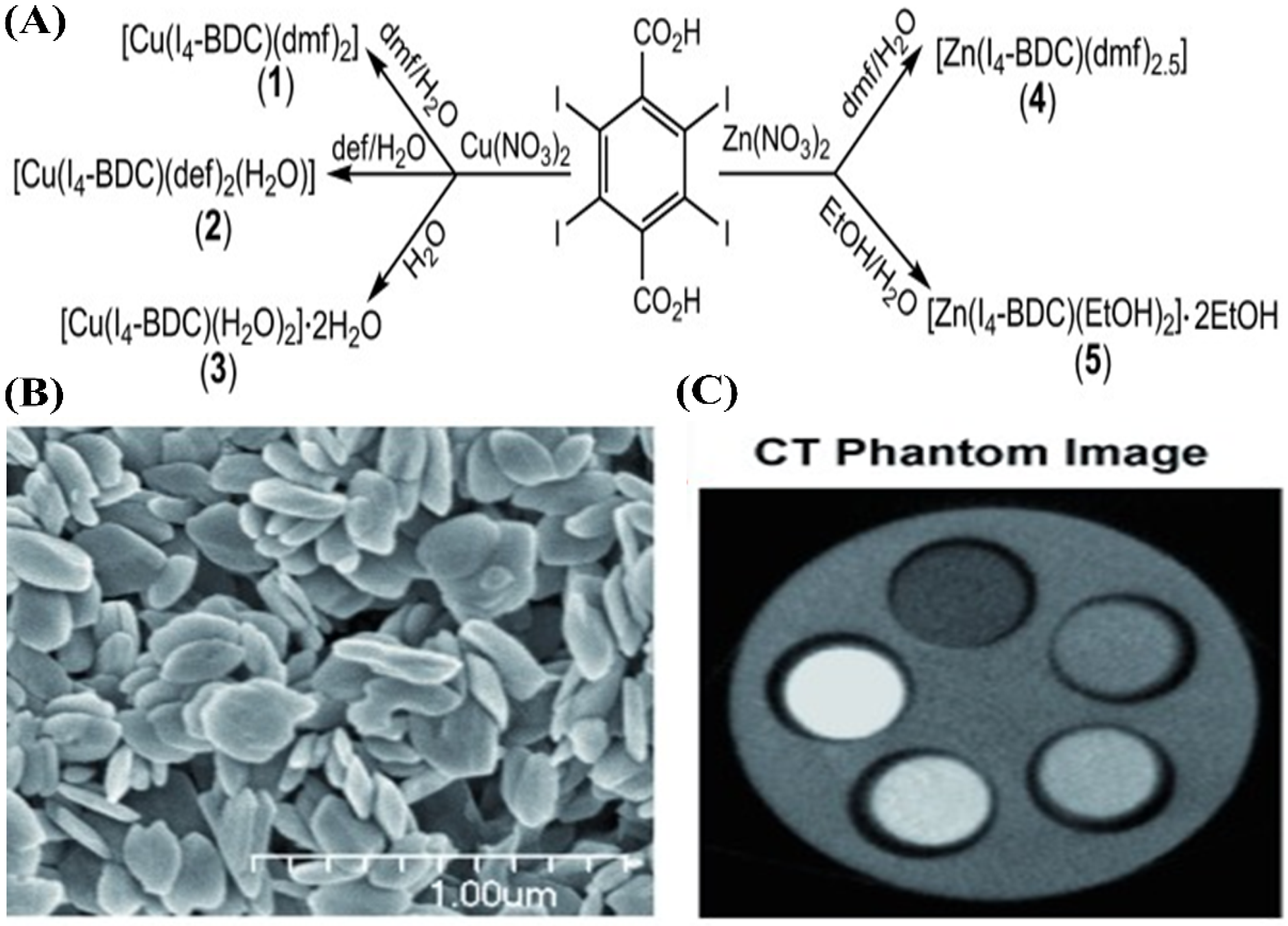 Molecules 26 07063 g018