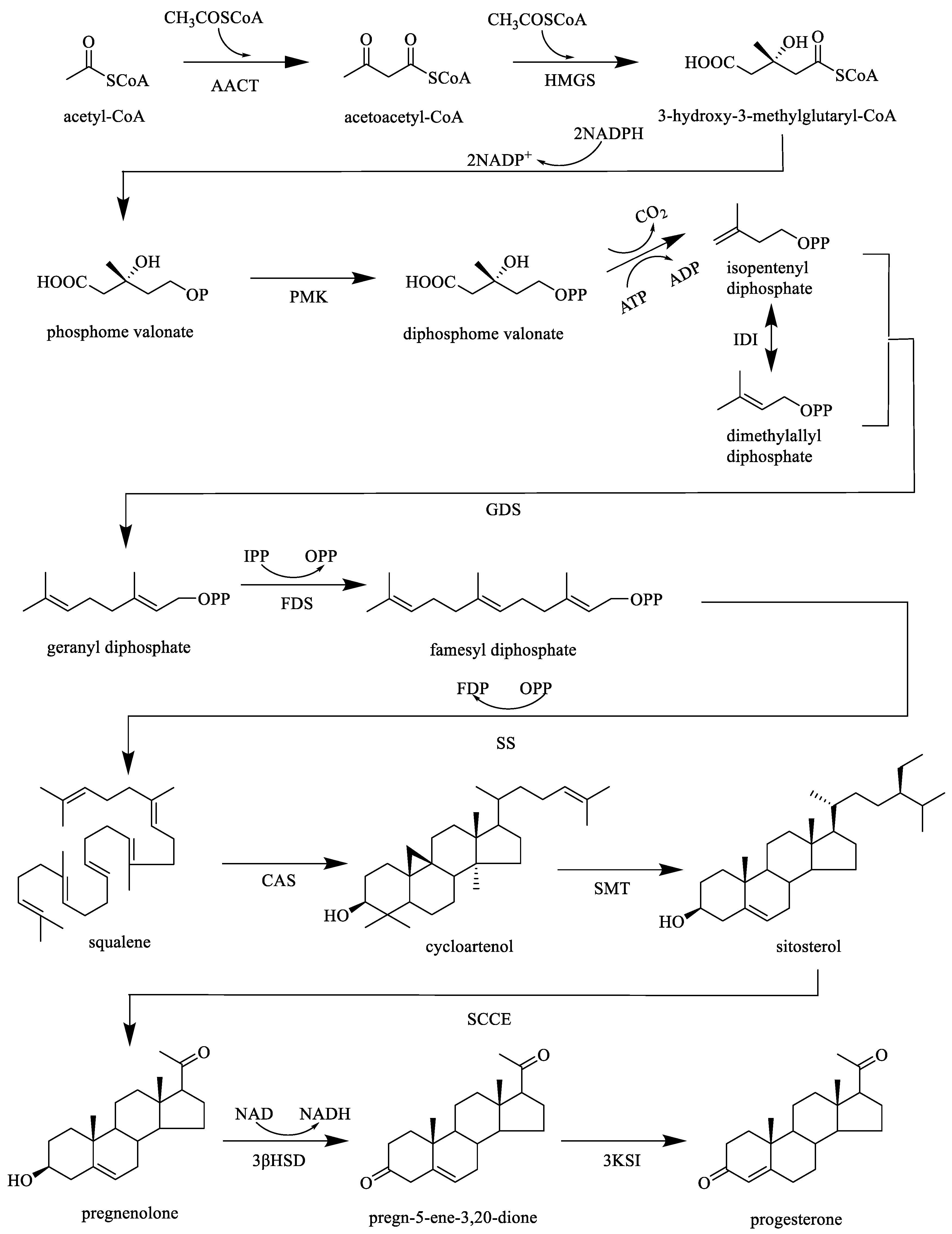 Molecules 26 07065 g002 Molecules 26 07065 g002