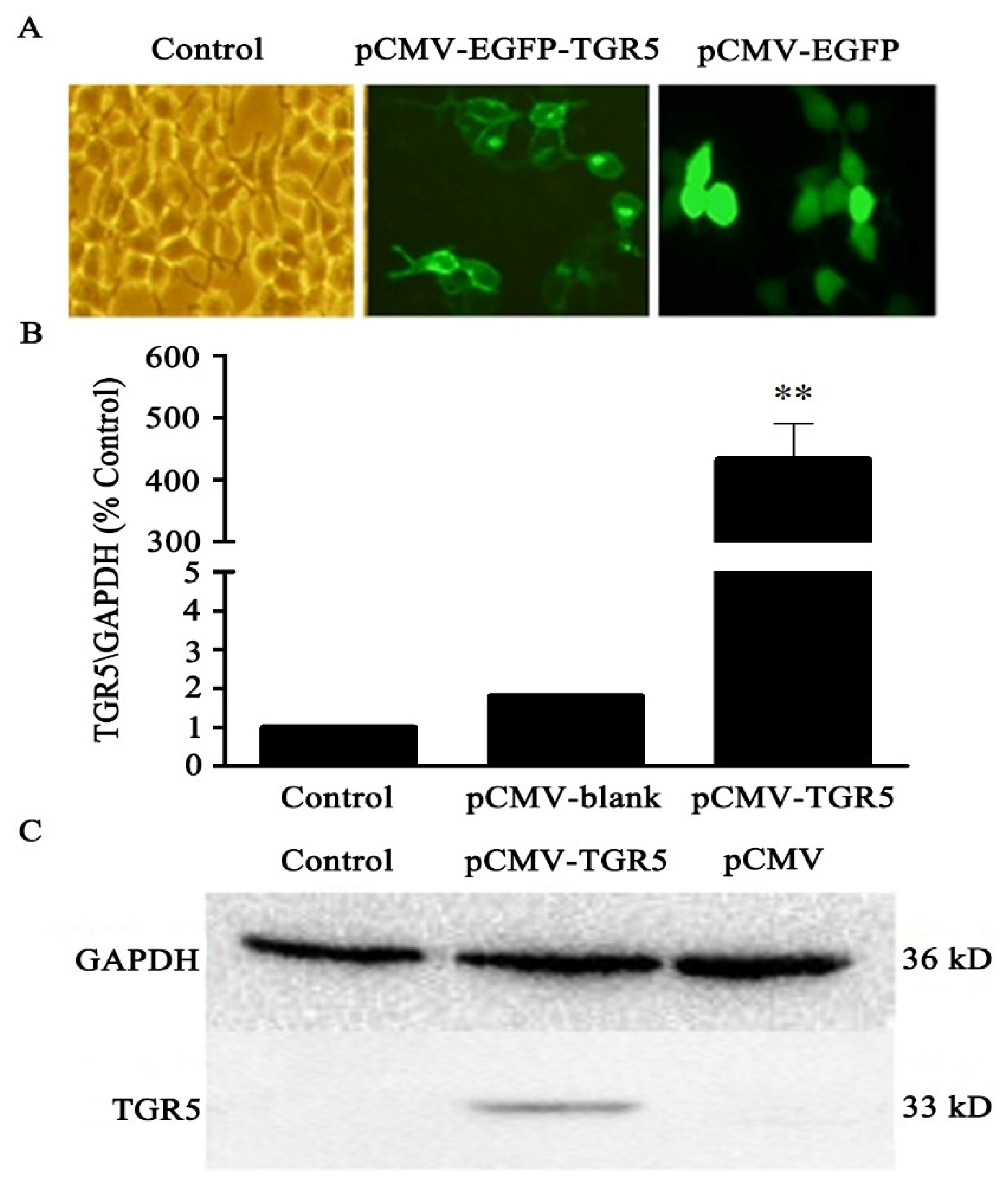 Molecules 26 07066 g002 550