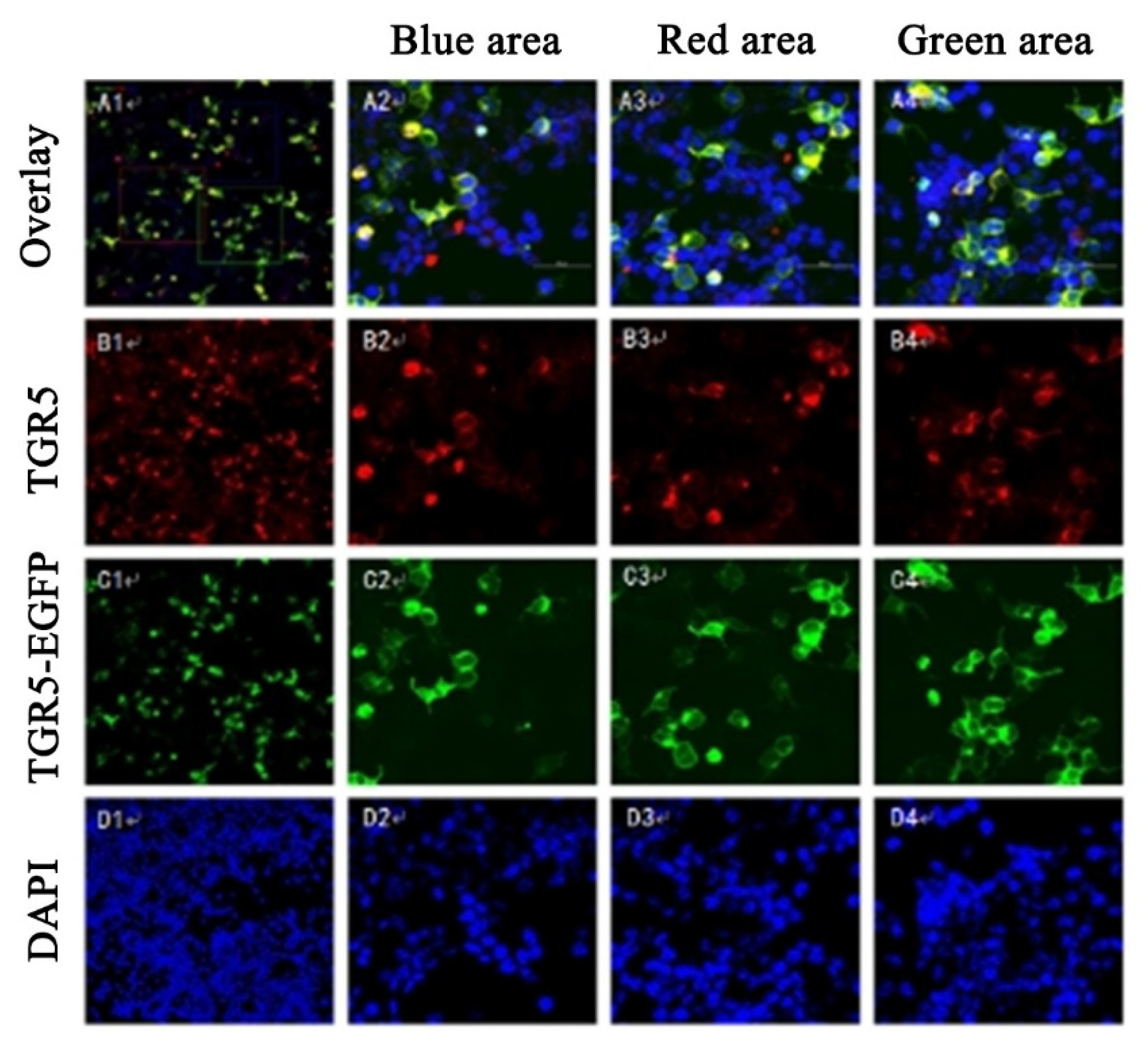 Molecules 26 07066 g003 550