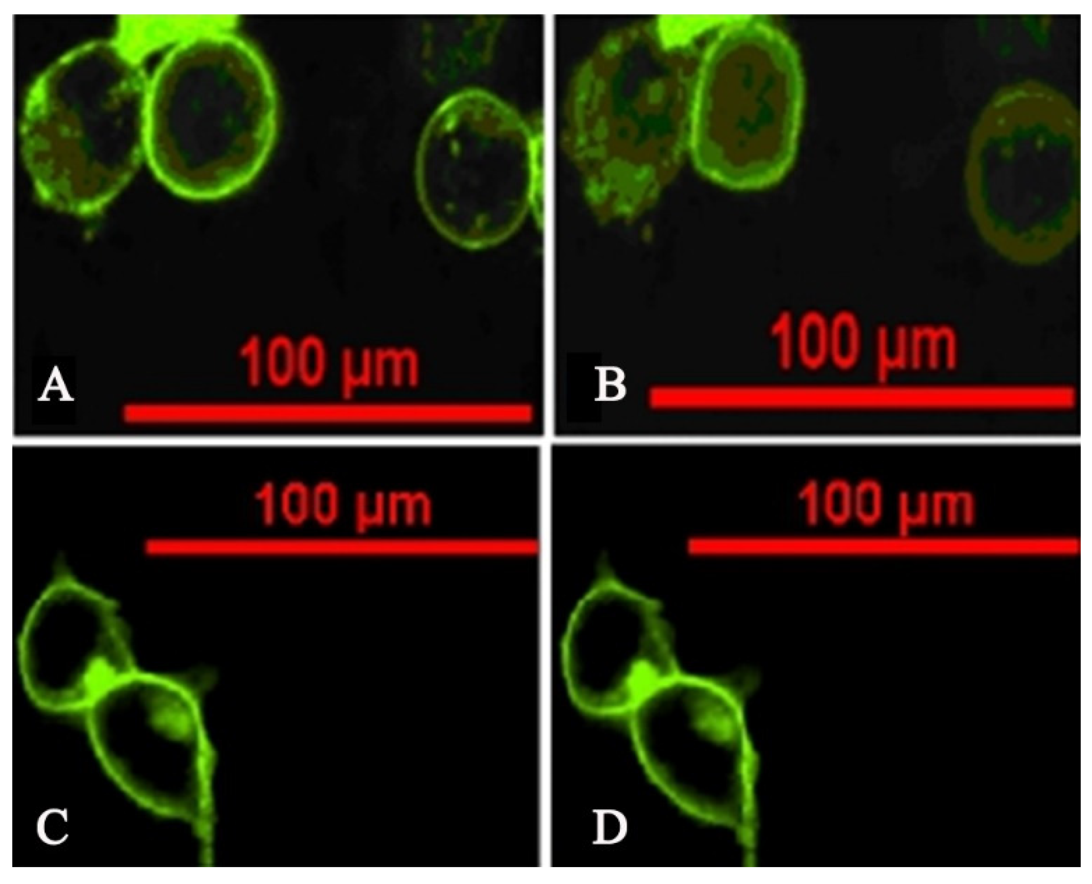 Molecules 26 07066 g004 550