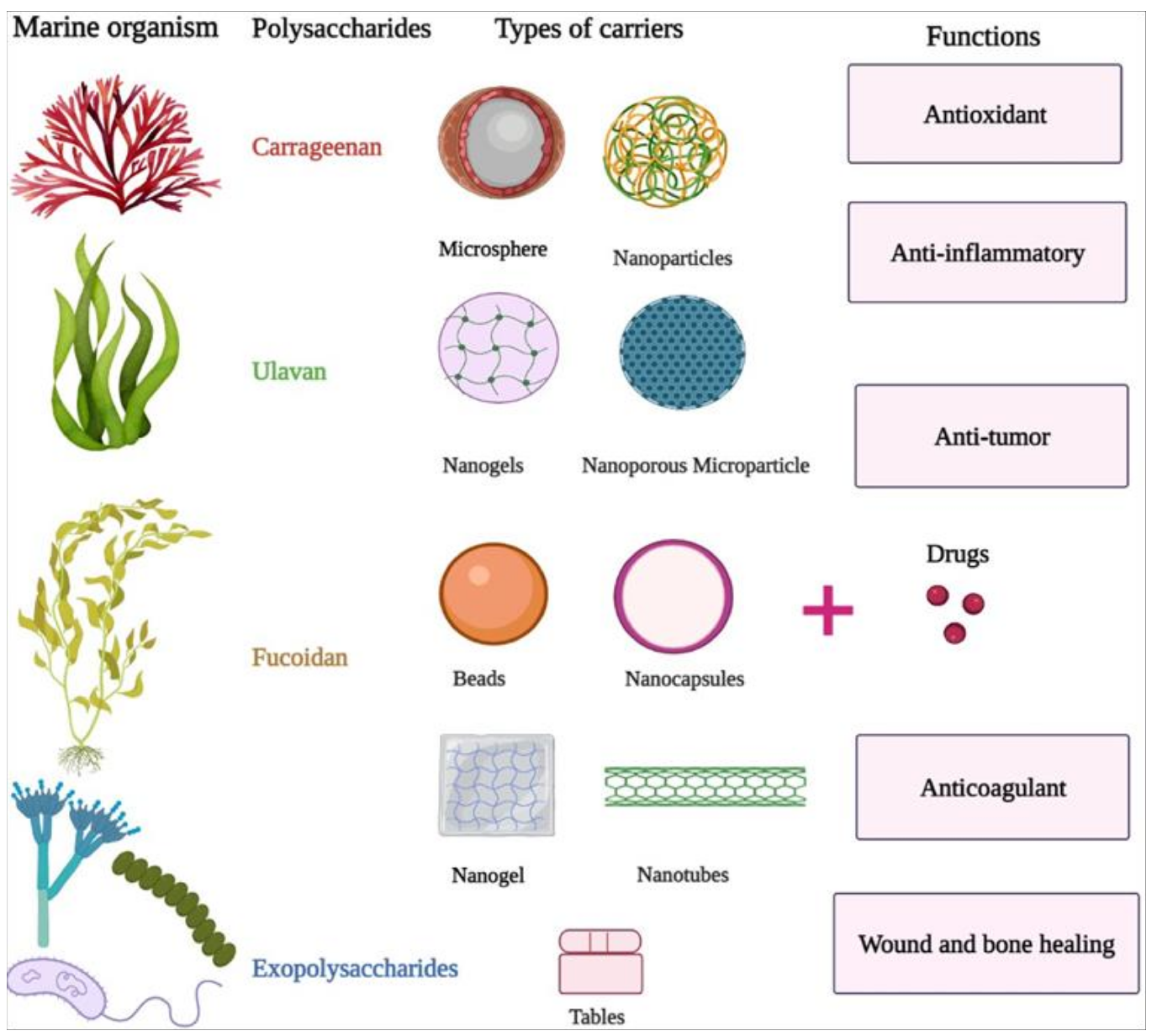 Molecules 26 07068 g002