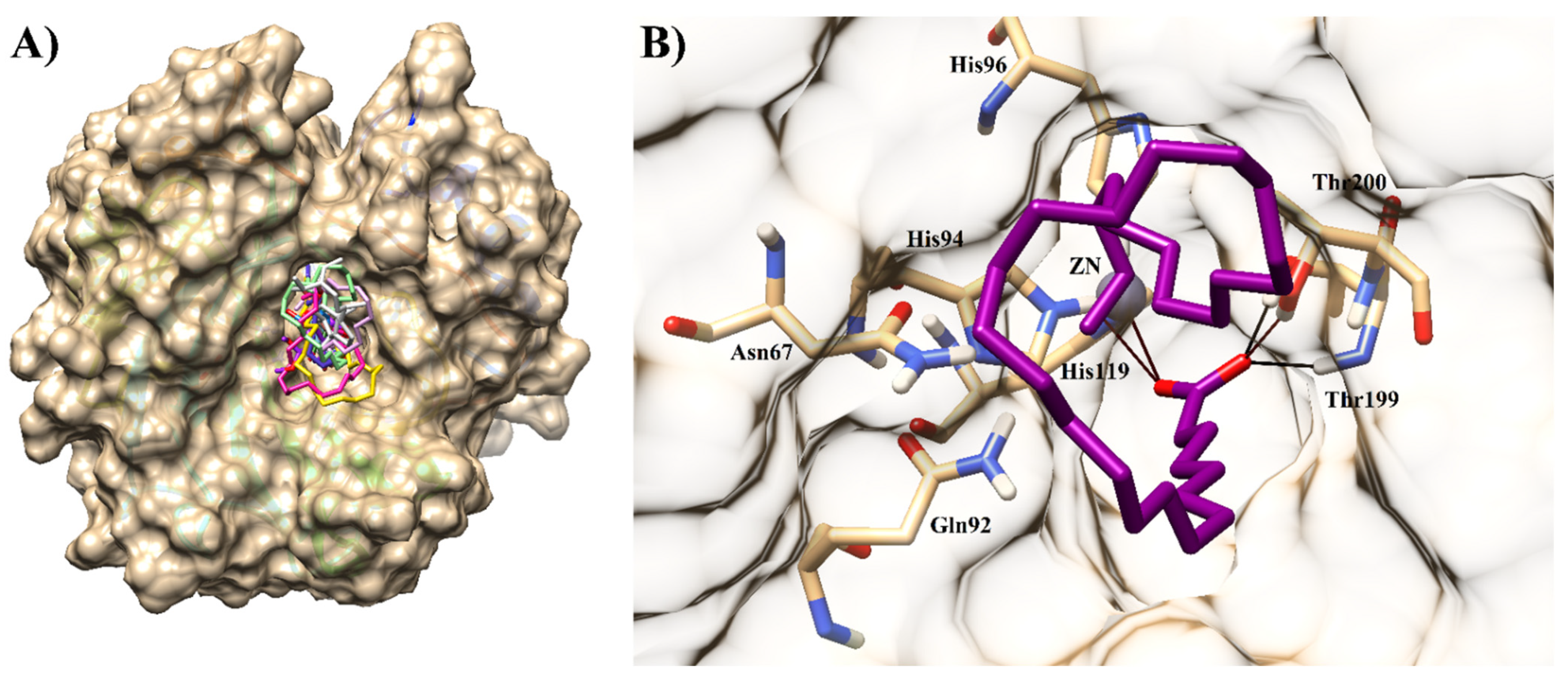 Molecules 26 07074 g005 550