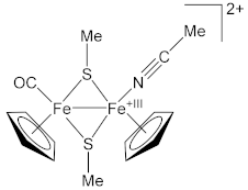 Molecules 26 07088 i001 Molecules 26 07088 i001
