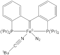 Molecules 26 07088 i007 Molecules 26 07088 i007
