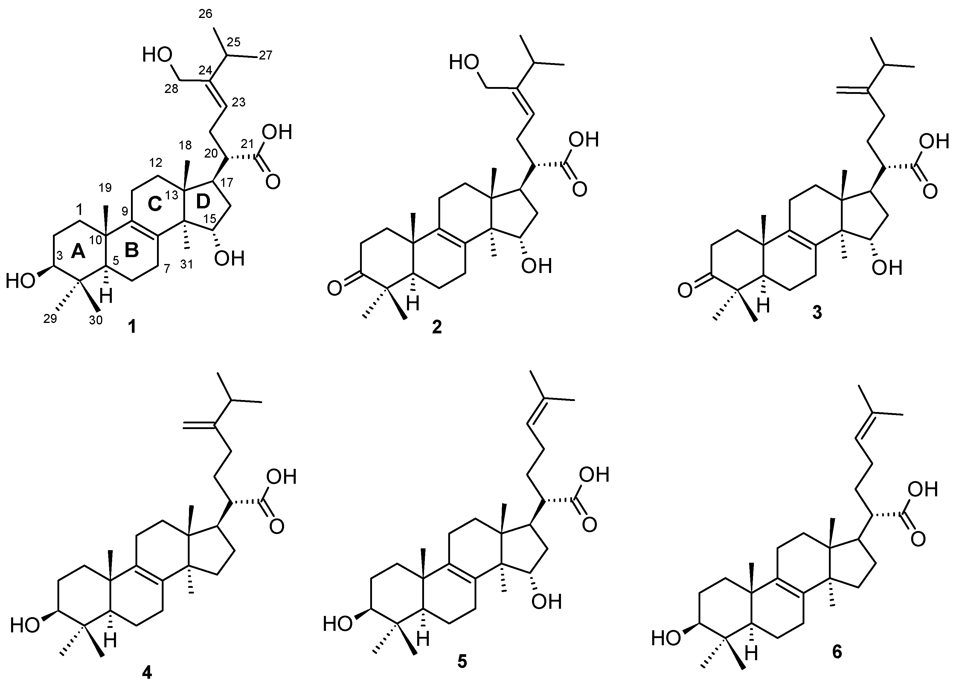 Molecules 26 07090 g002 550