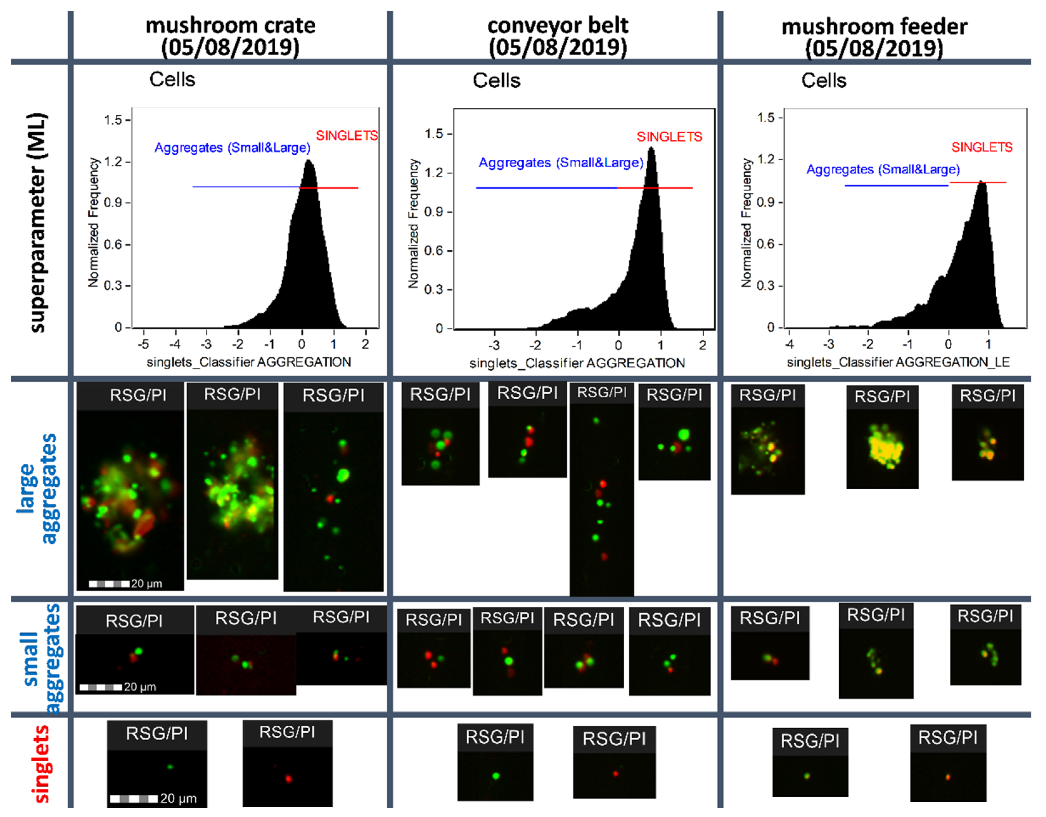 Molecules 26 07096 g002