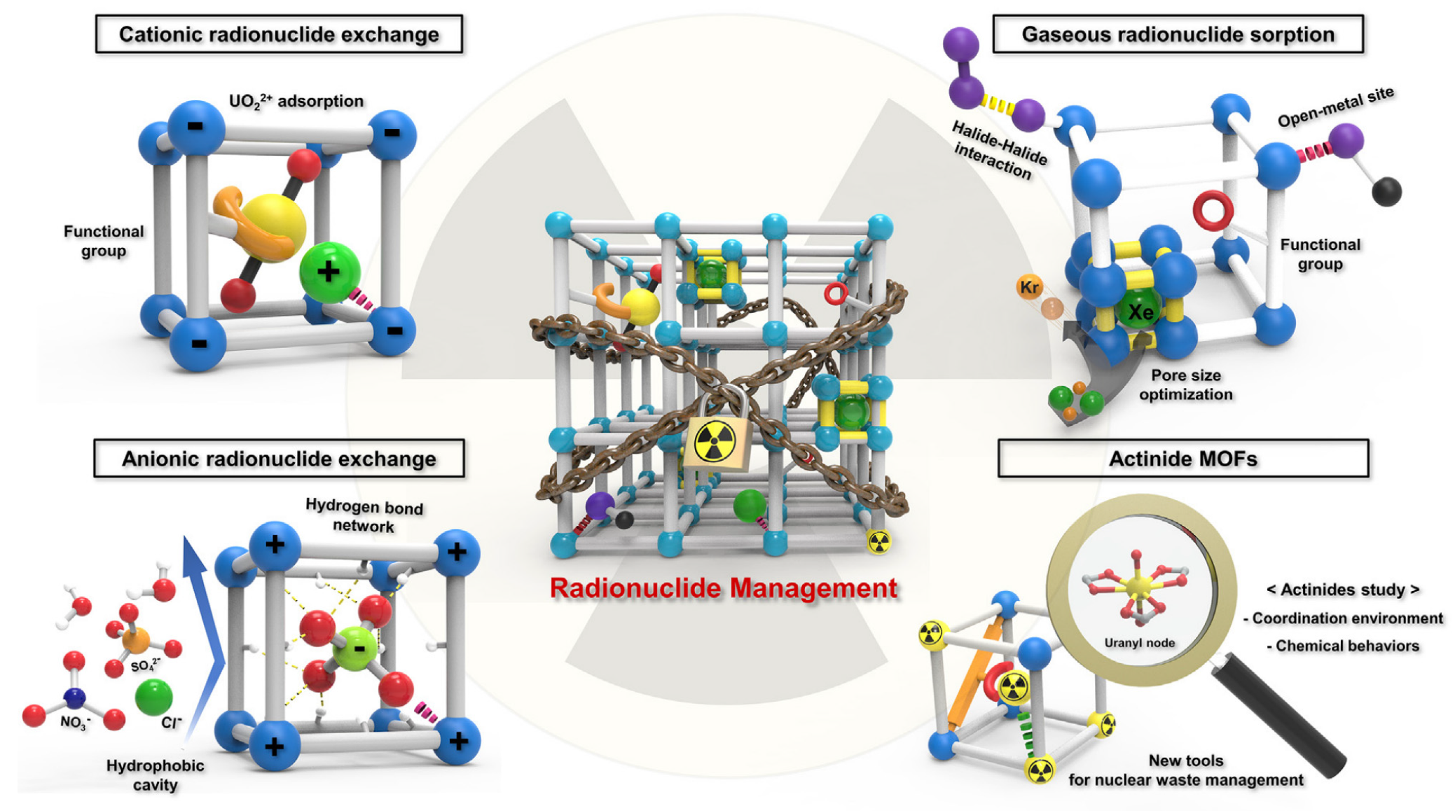High Sorption and Selective Extraction of Actinides from