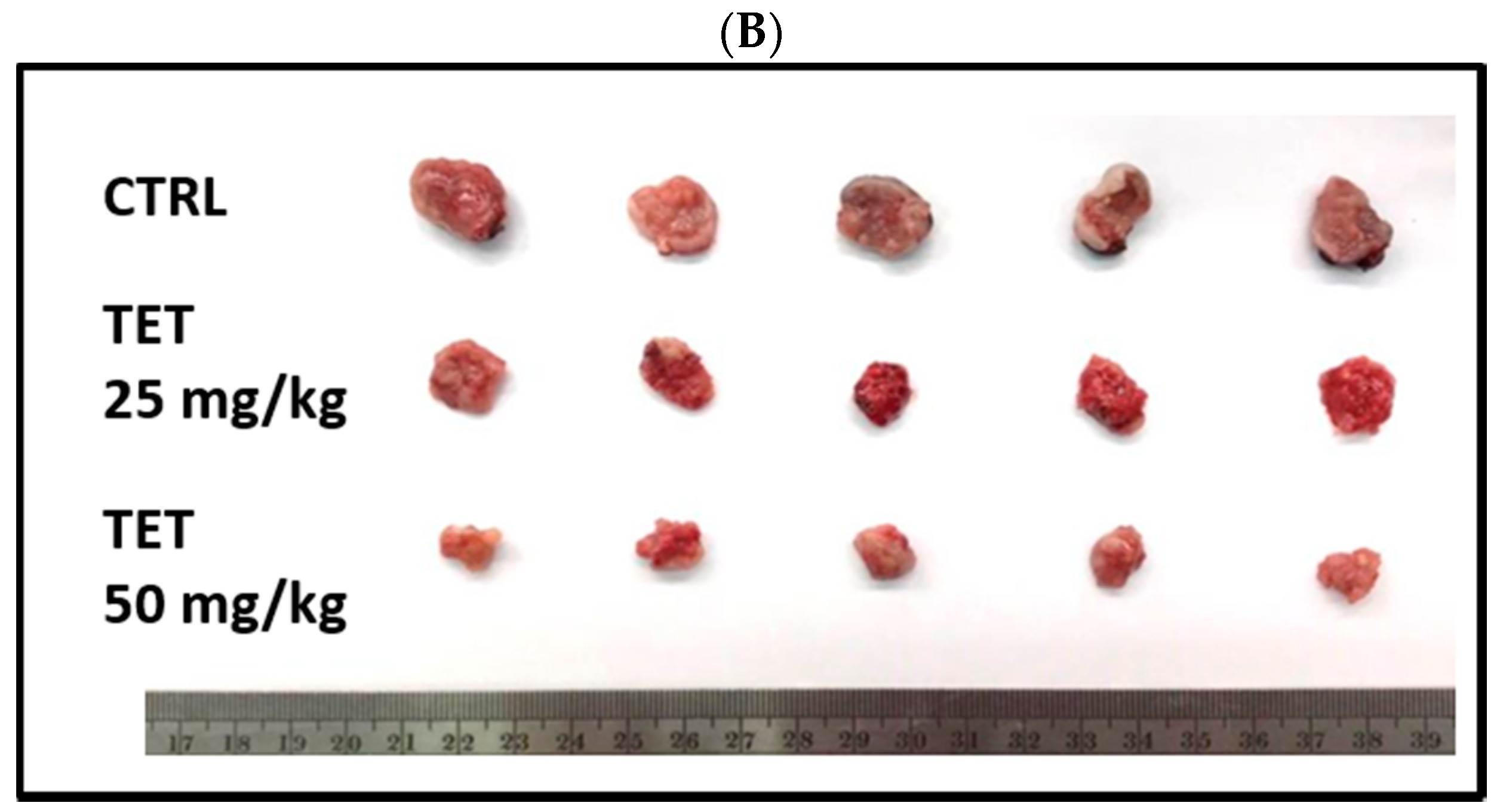 Molecules 26 07105 g003b