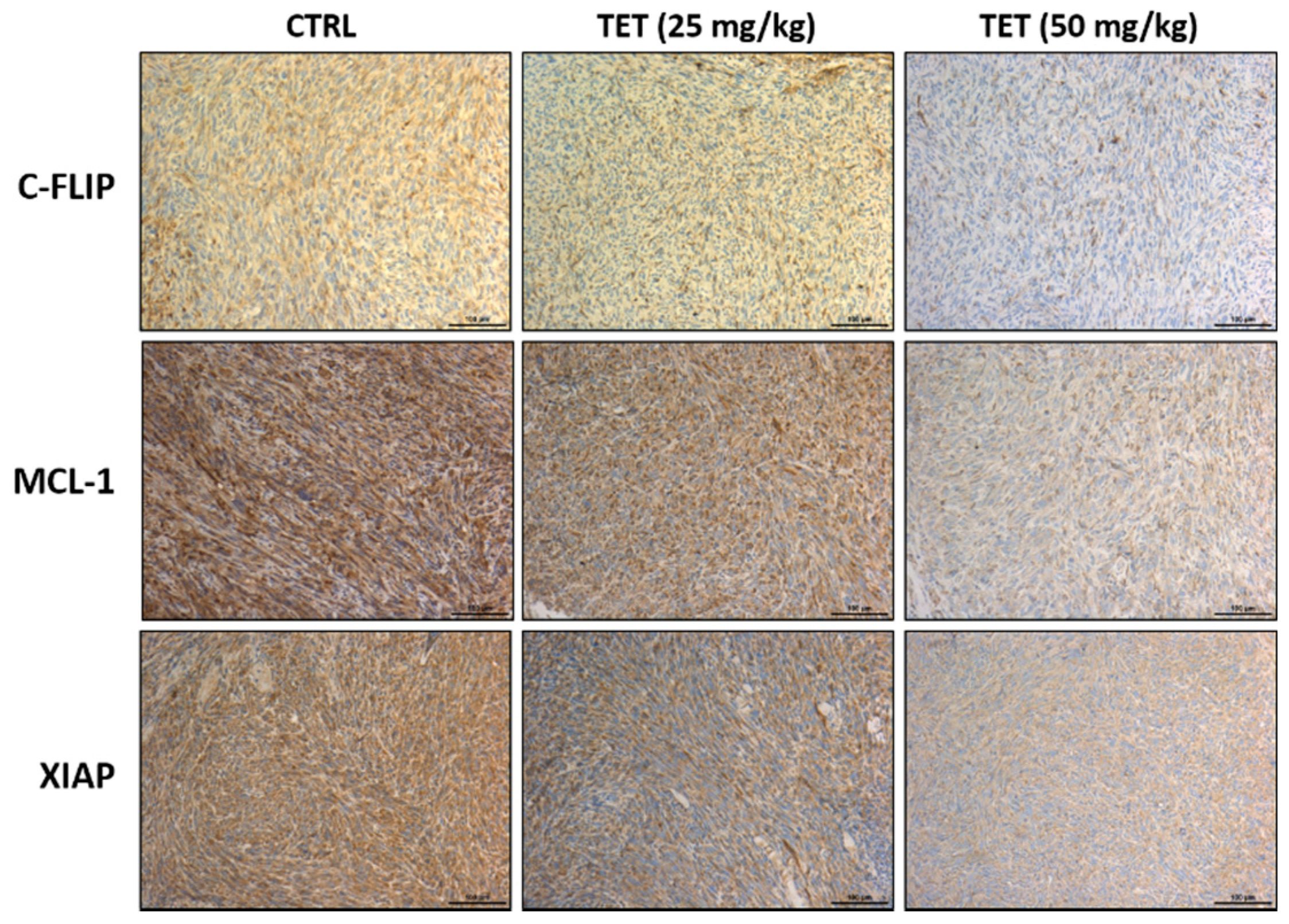 Molecules 26 07105 g005