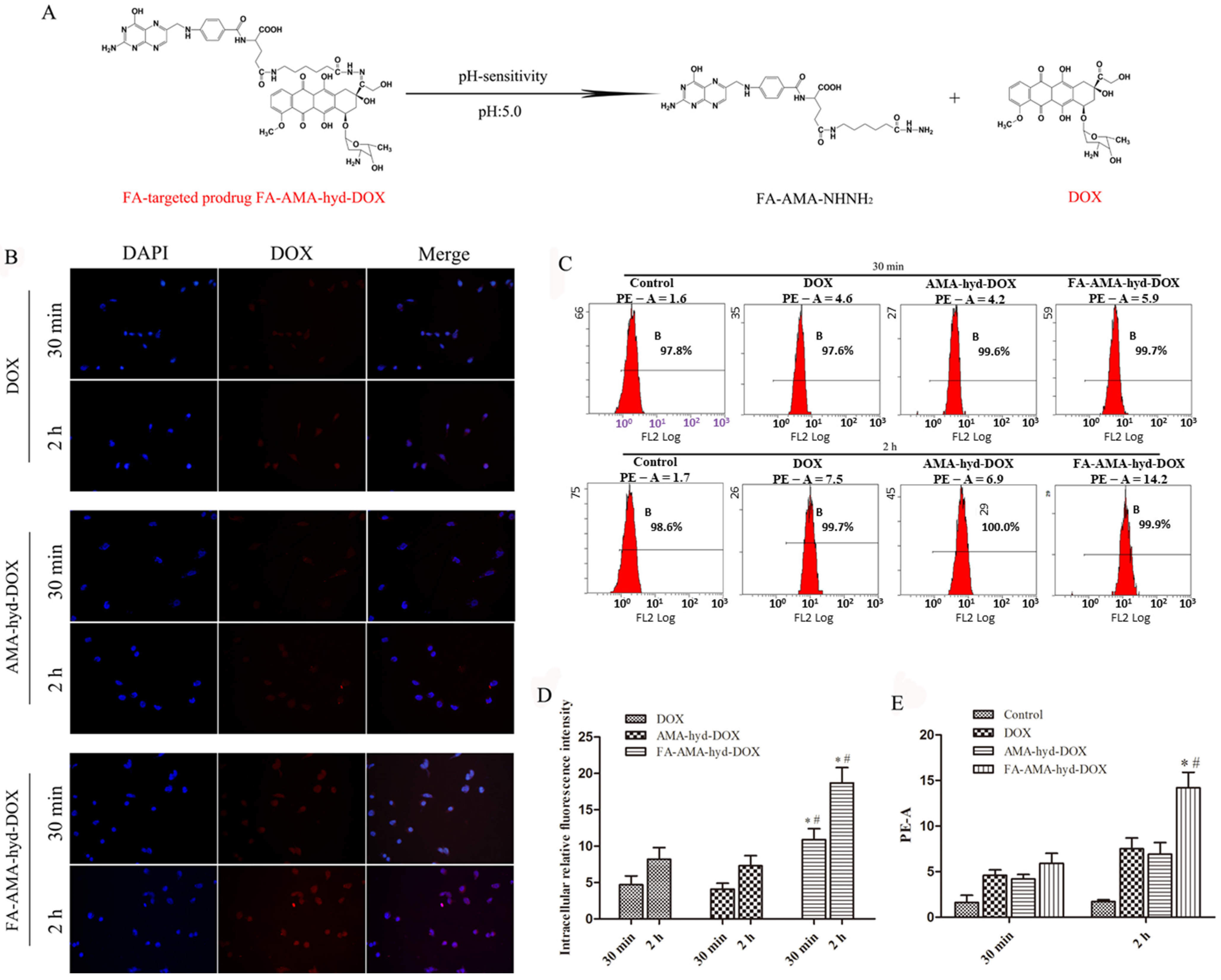 Molecules 26 07110 g001 550