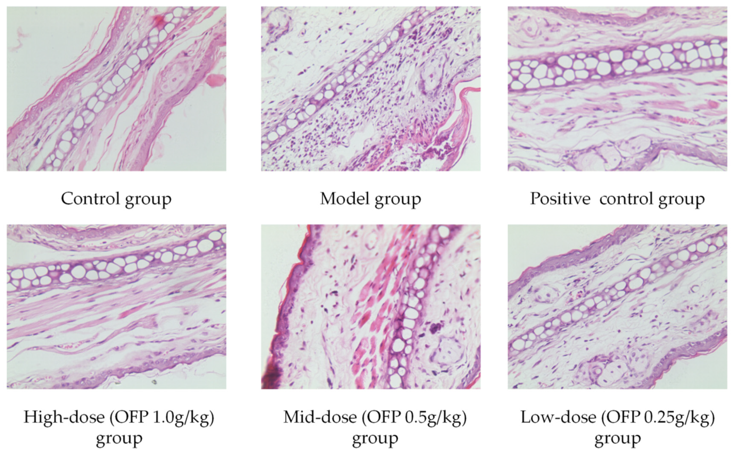 Molecules 26 07116 g008 550