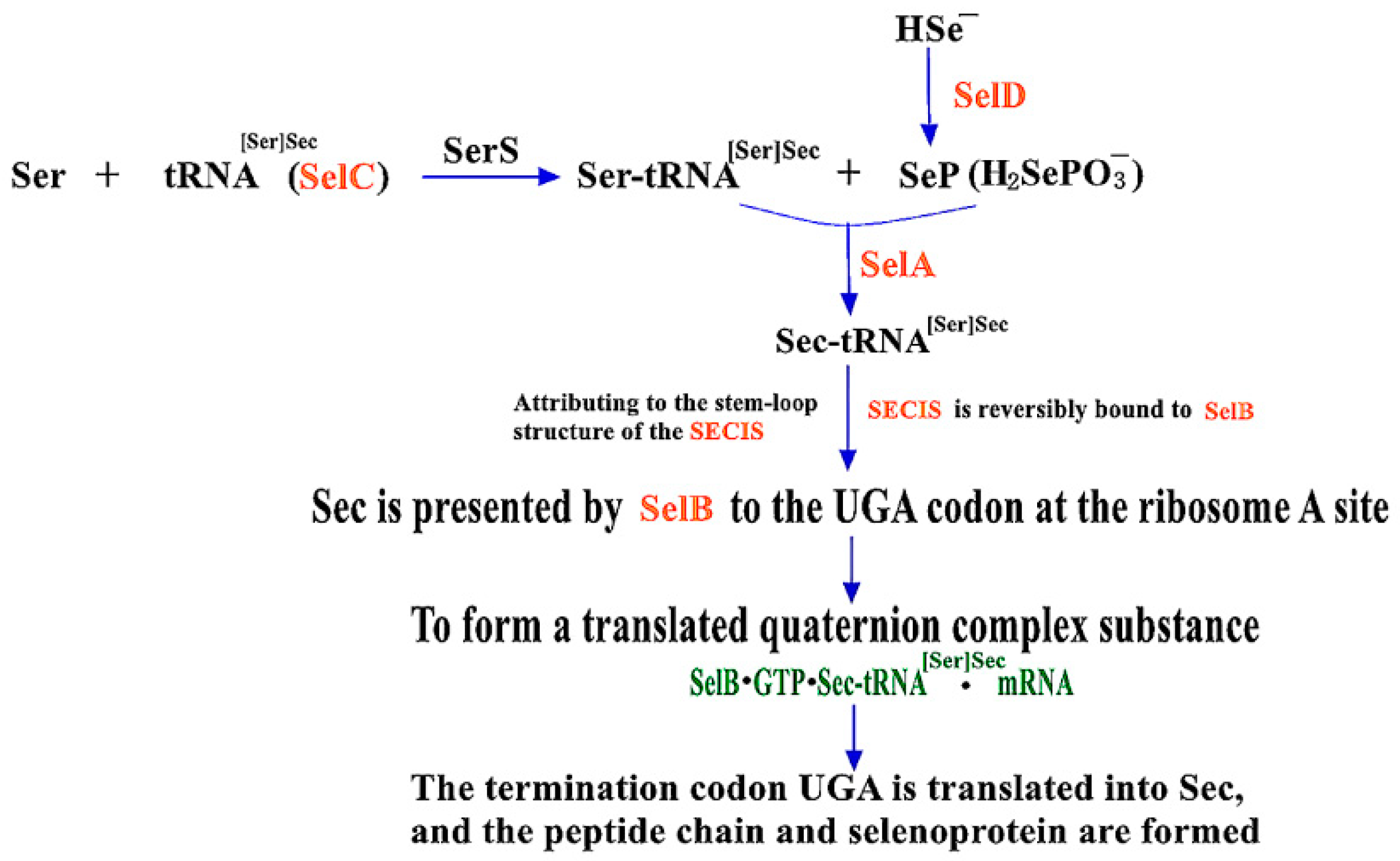 Molecules 26 07120 g001