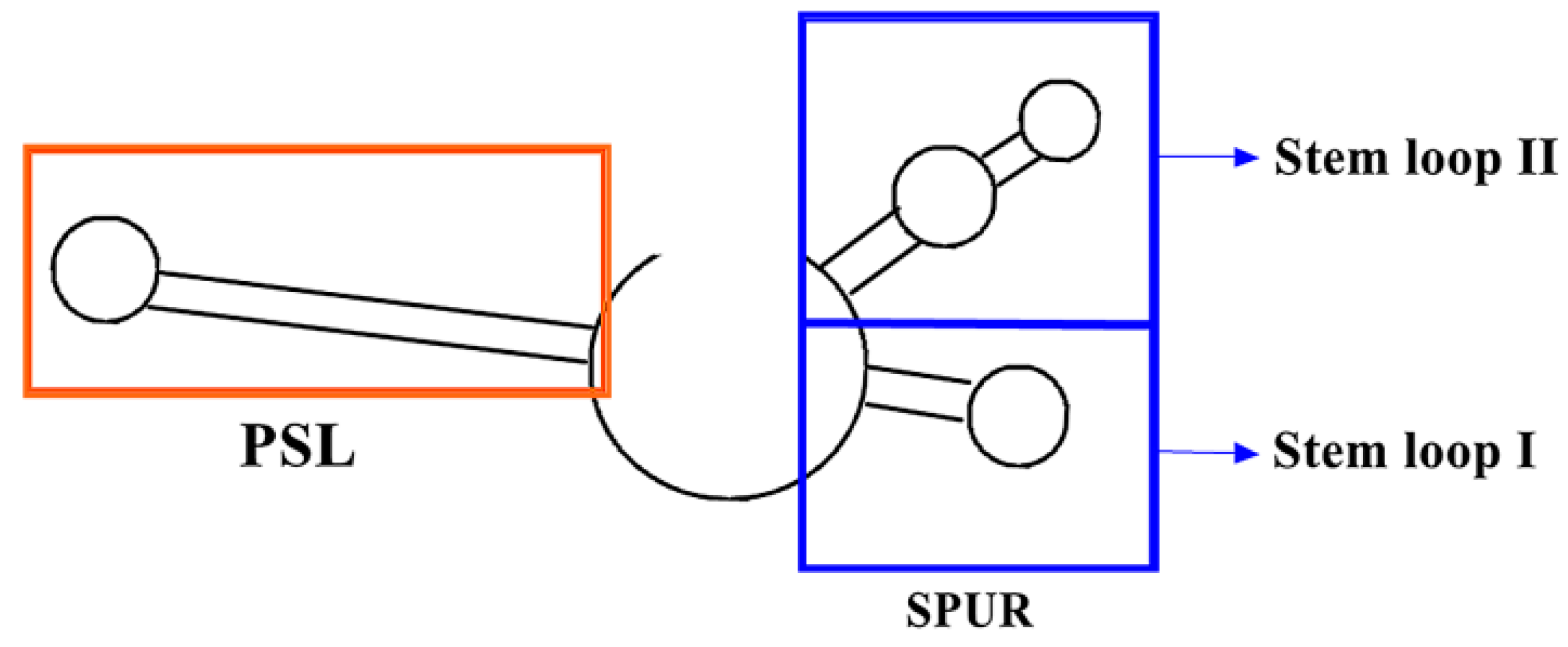 Molecules 26 07120 g005