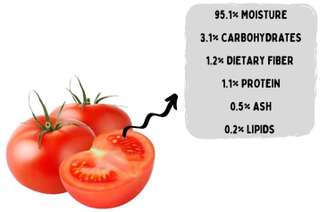 Molecules 26 07125 g001 Molecules 26 07125 g001