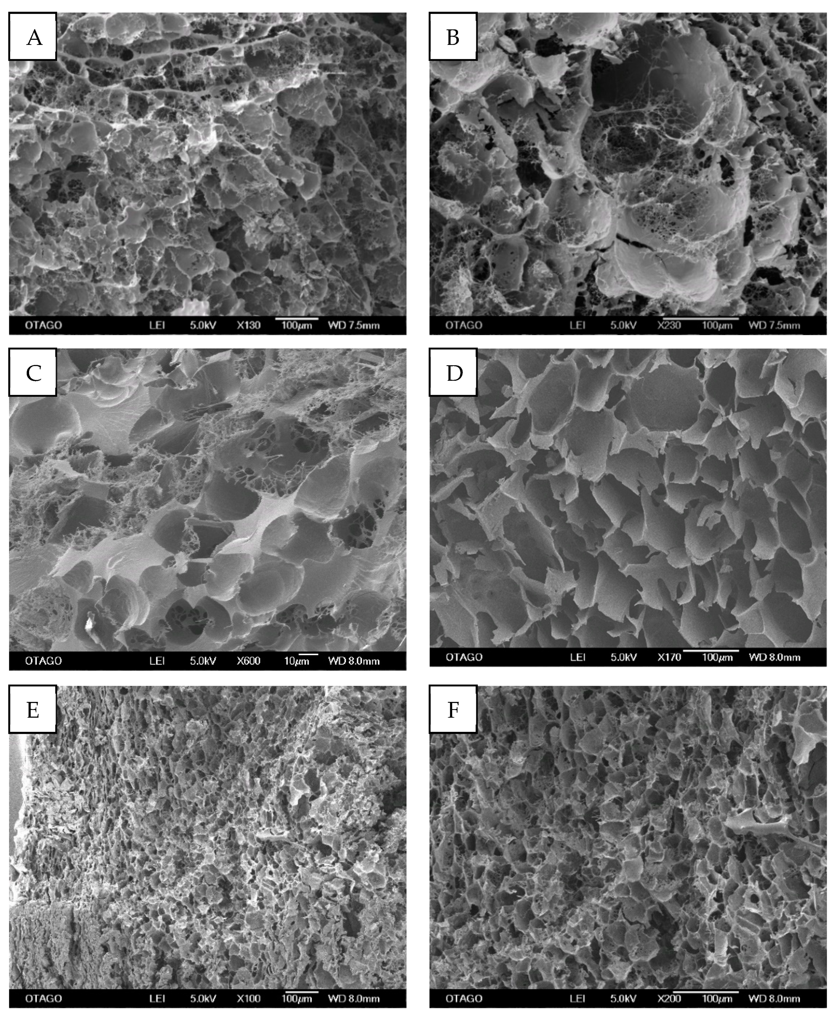 Molecules 26 07131 g004