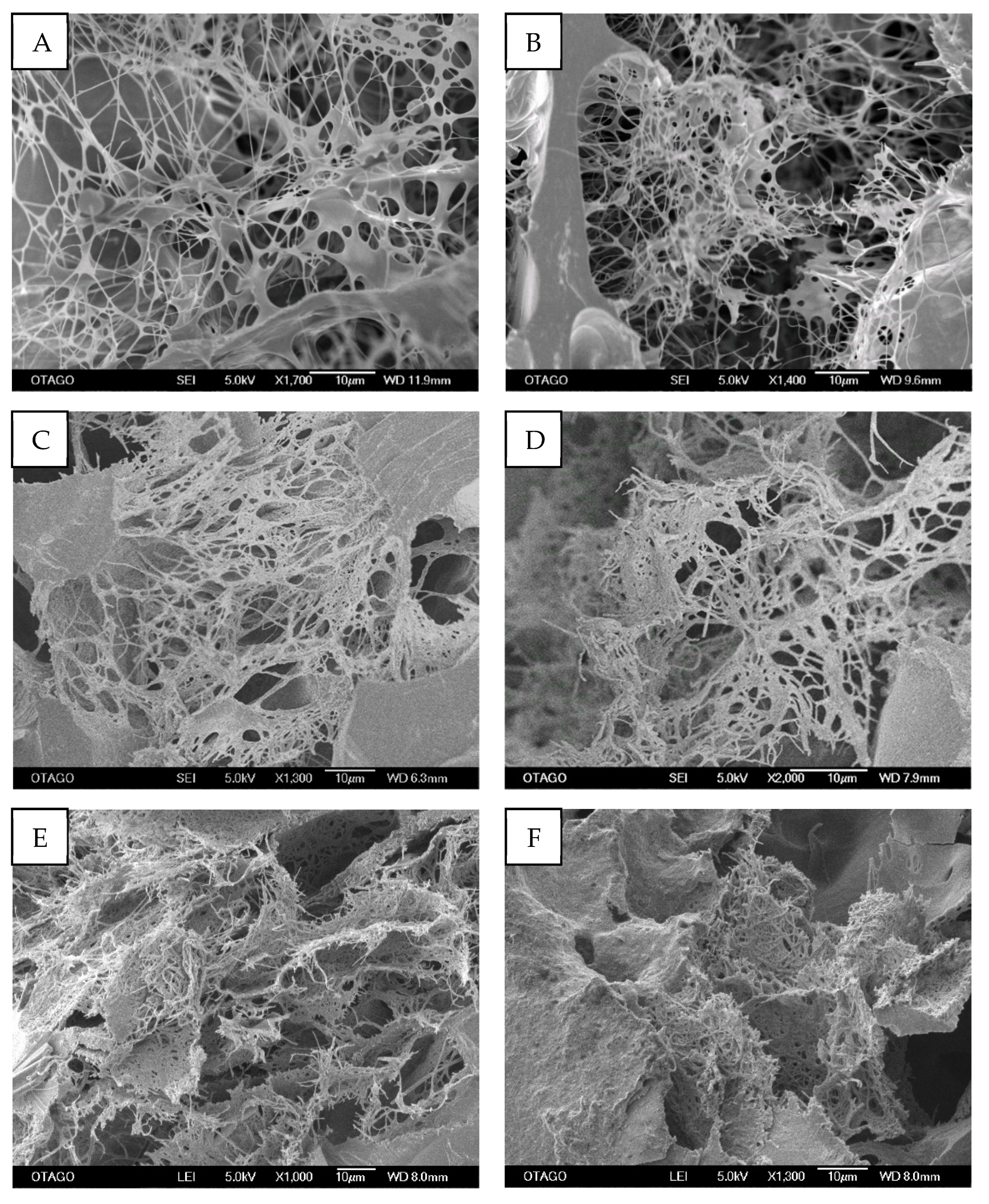 Molecules 26 07131 g005