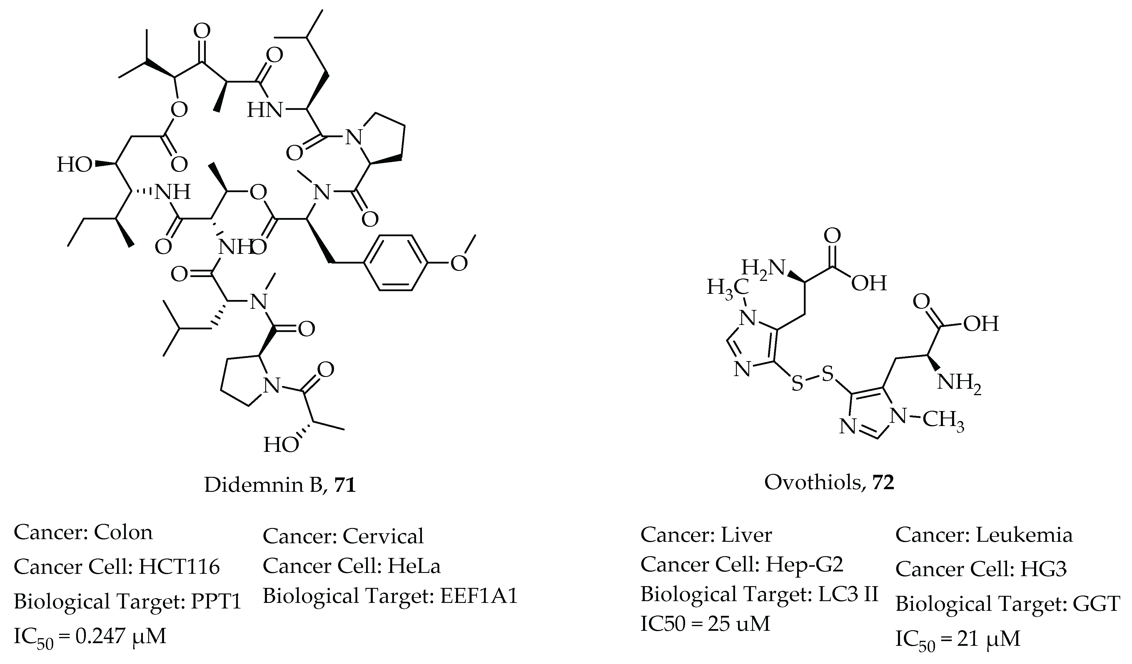Molecules 26 07134 g008