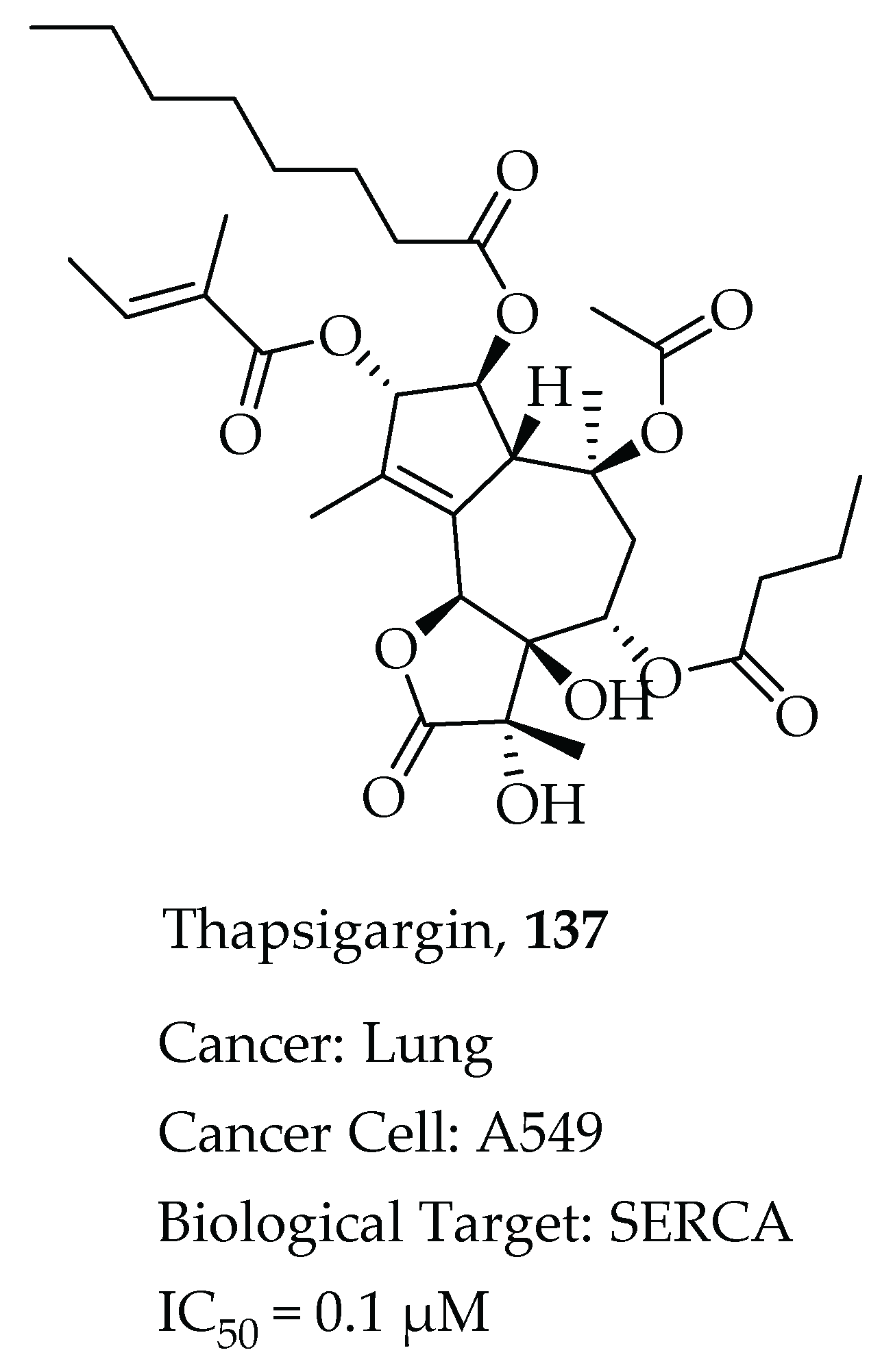 Molecules 26 07134 g028