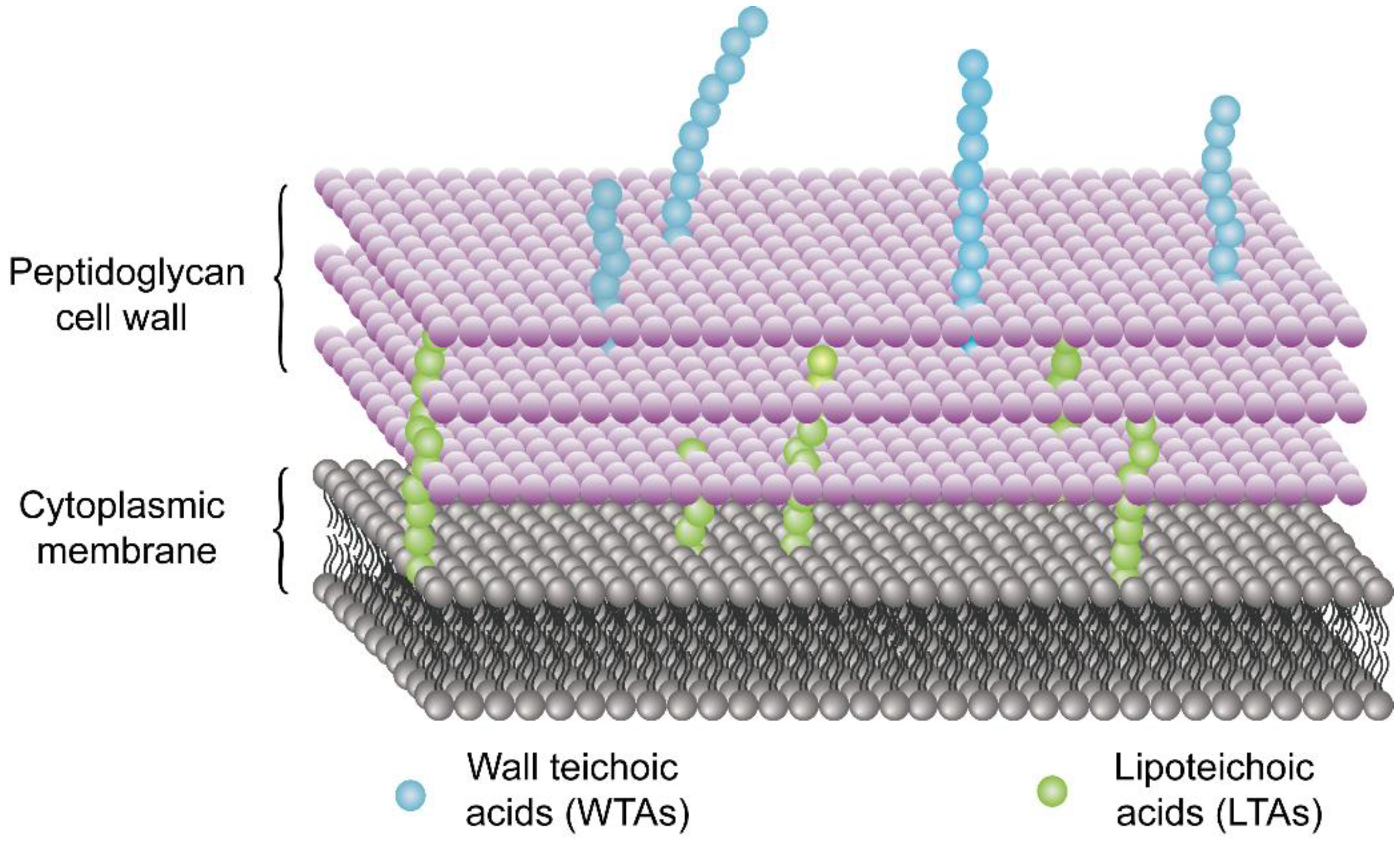 Molecules 26 07136 g003