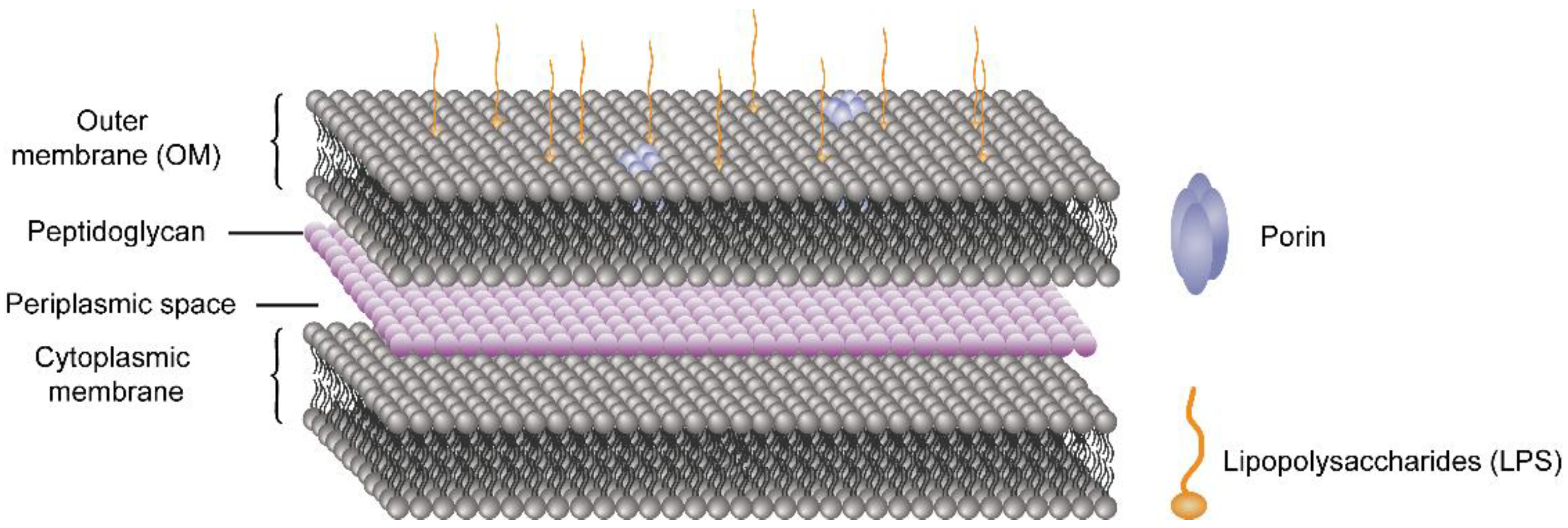 https://www.mdpi.com/molecules/molecules-26-07136/article_deploy/html/images/molecules-26-07136-g004.png