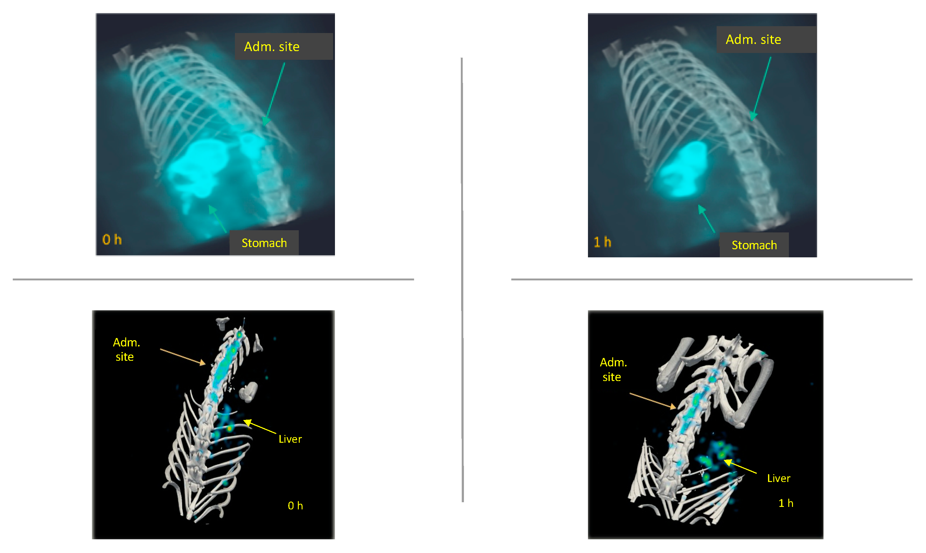 Molecules 26 07138 g007 Molecules 26 07138 g007