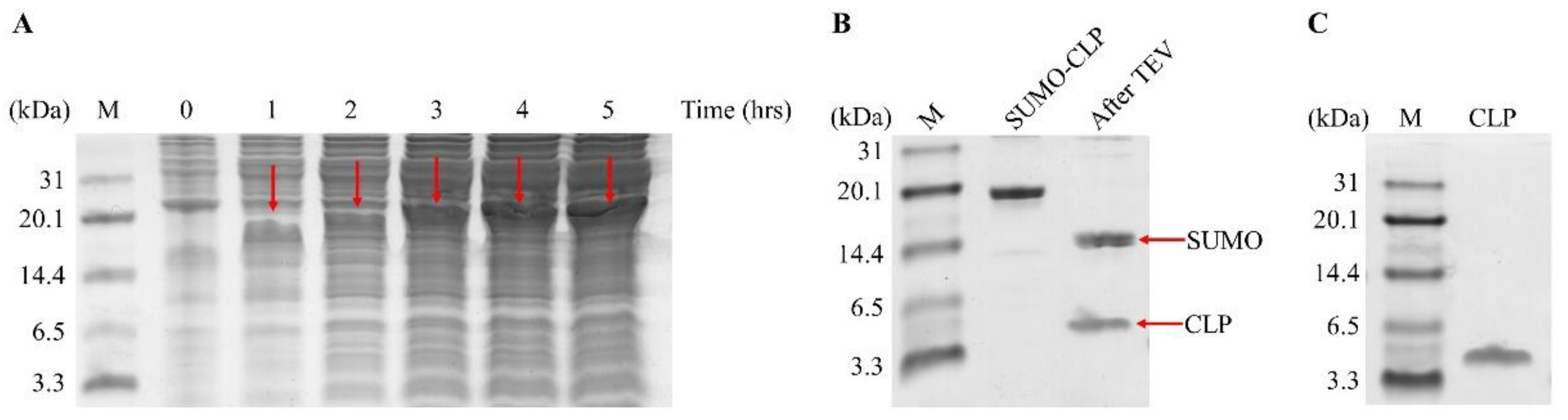 Molecules 26 07142 g001 Molecules 26 07142 g001