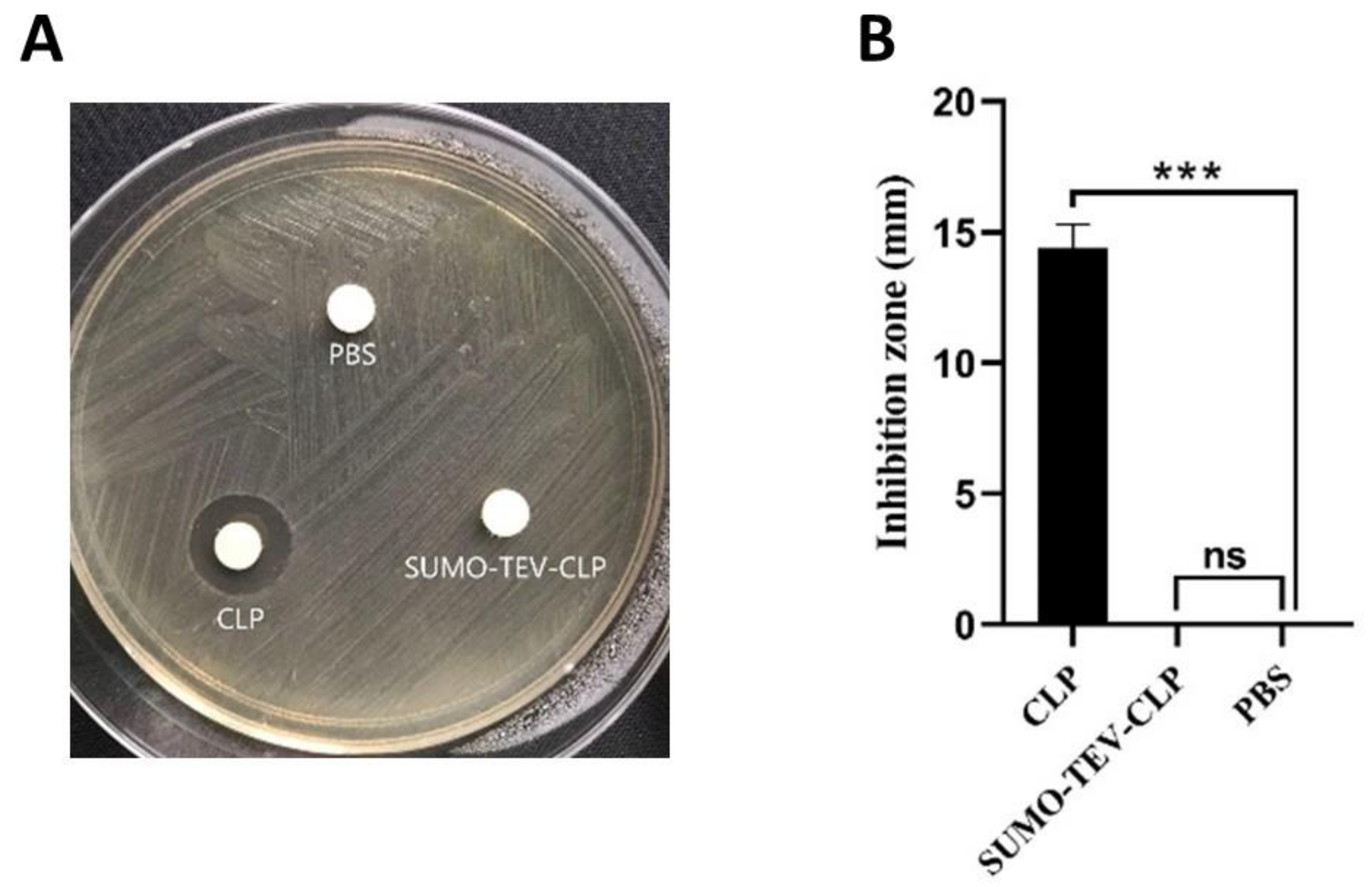 Molecules 26 07142 g003 Molecules 26 07142 g003