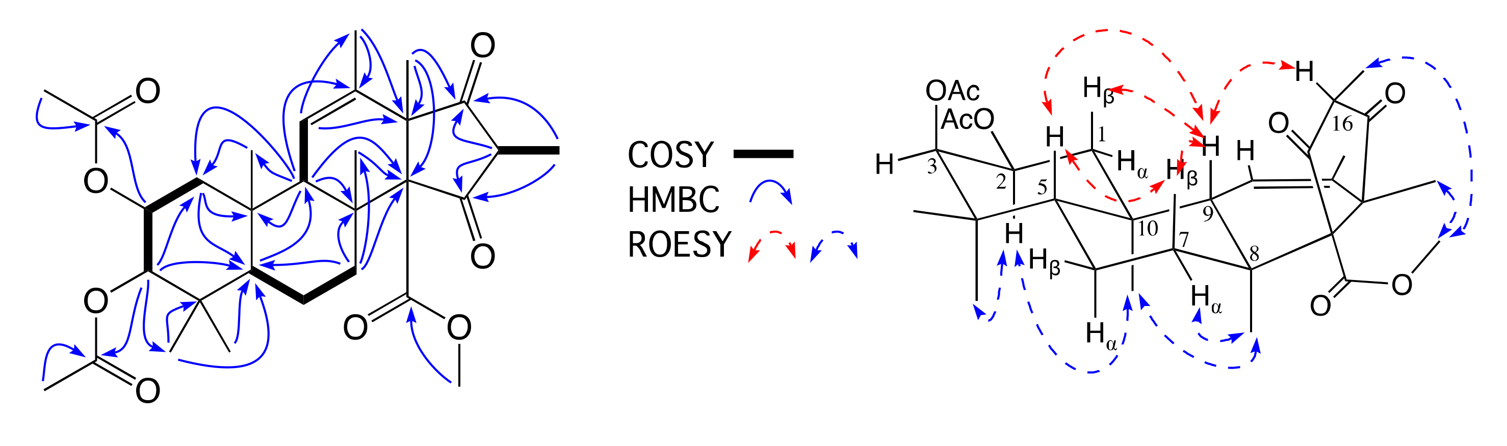 Molecules 26 07144 g003