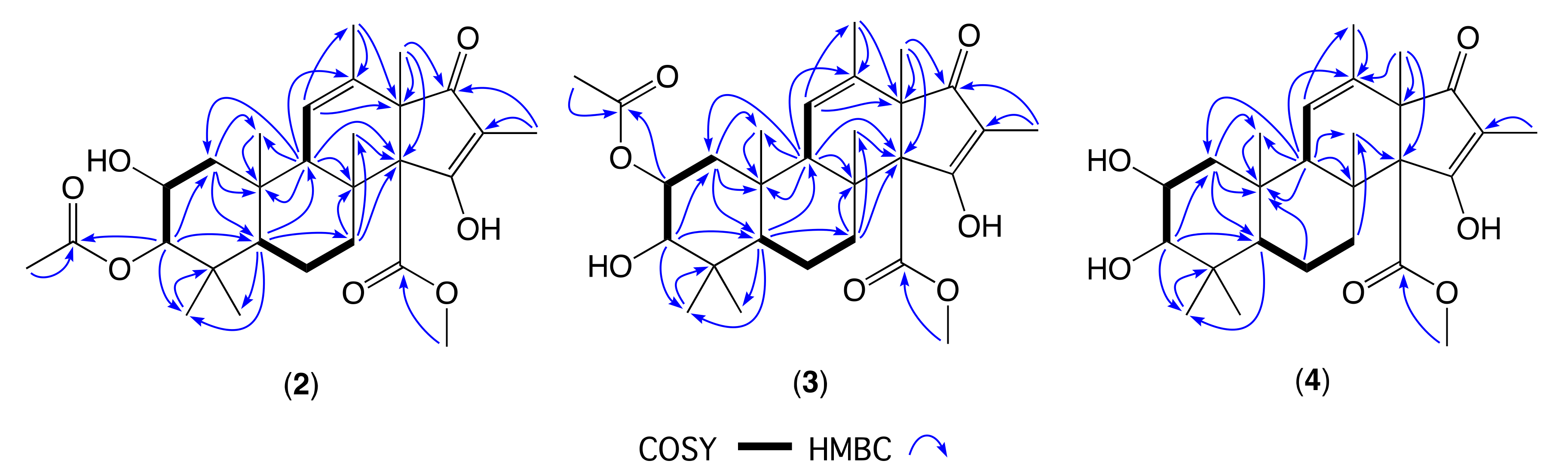 Molecules 26 07144 g005