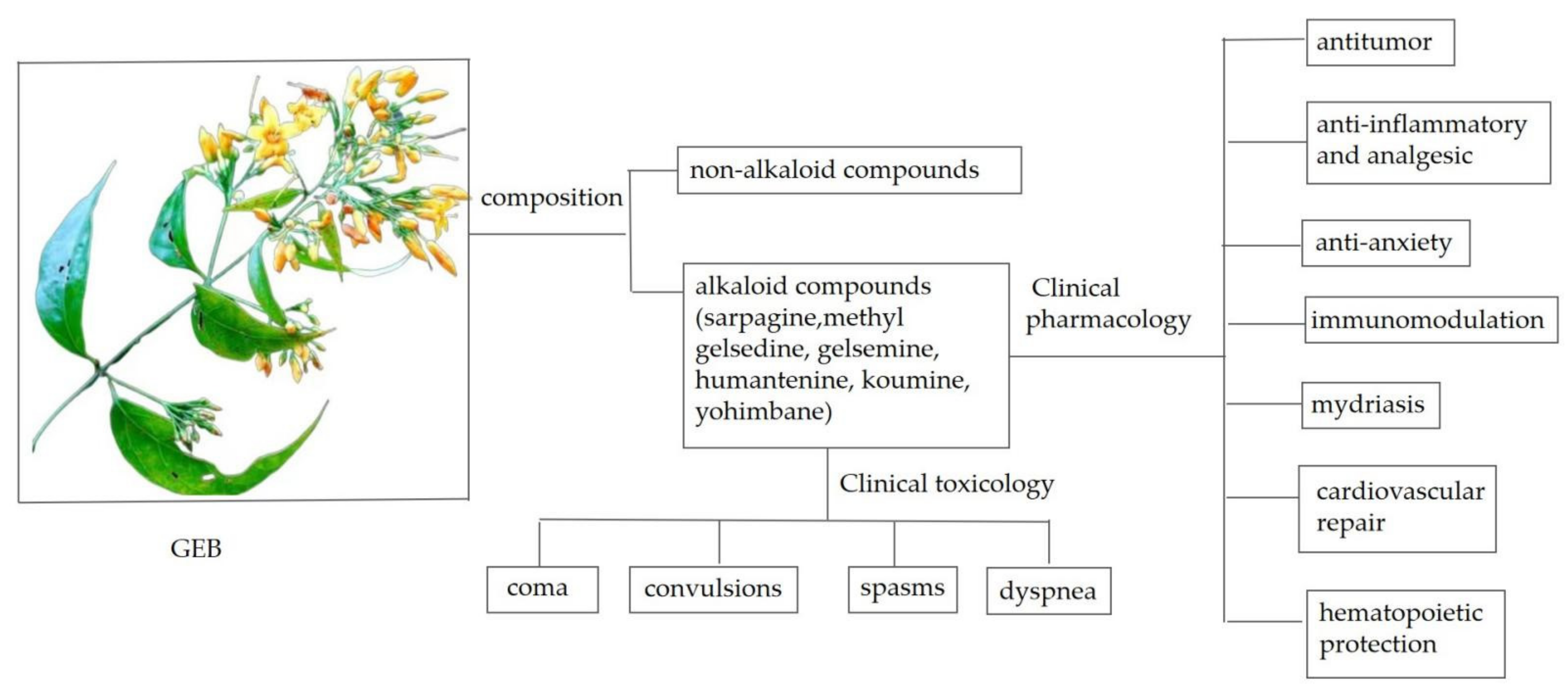 Gelsemium Elegans: Its Efficacy and Function Fully Revealed! What You Must Know Before You Try It.