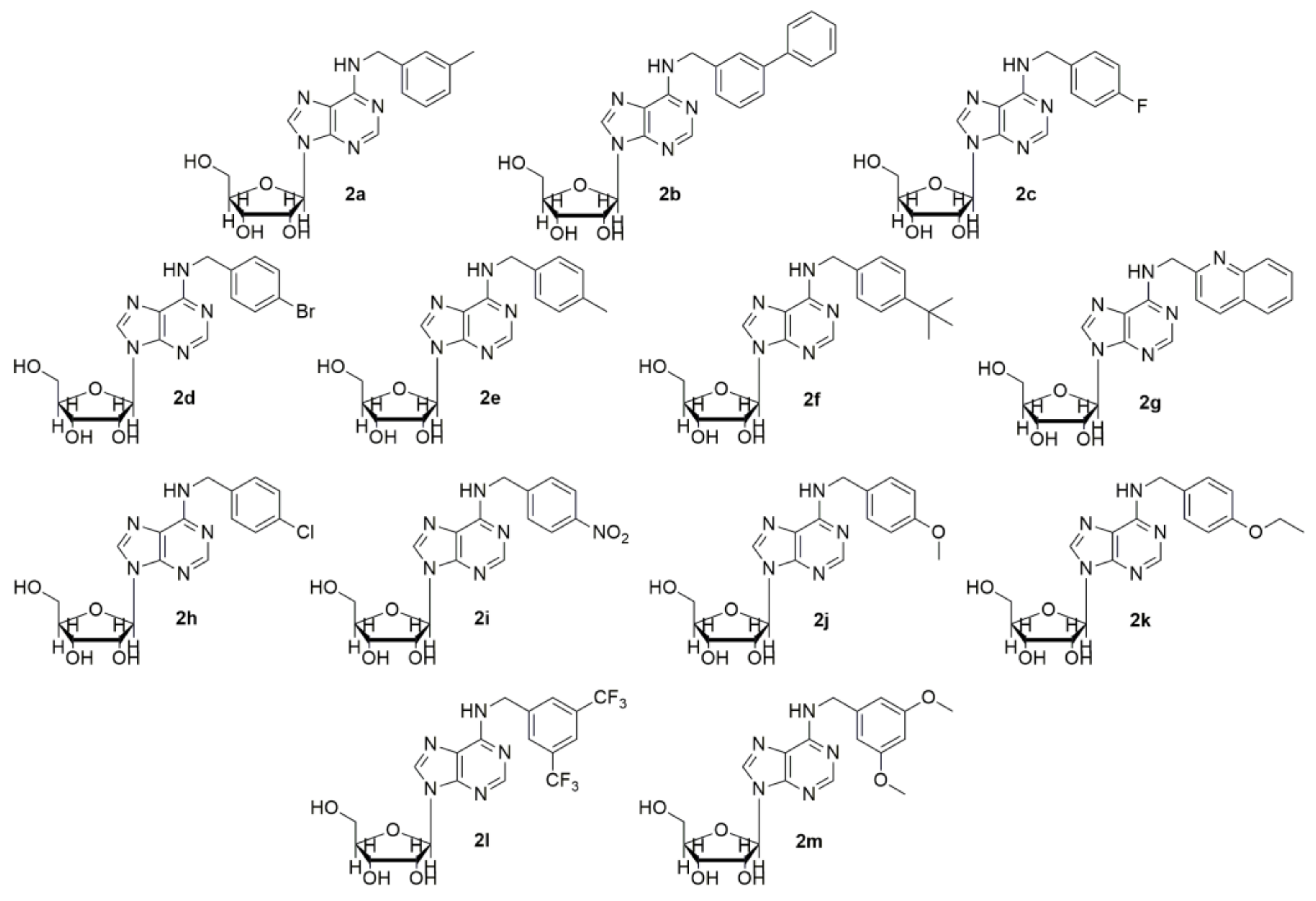 Molecules 26 07146 g002