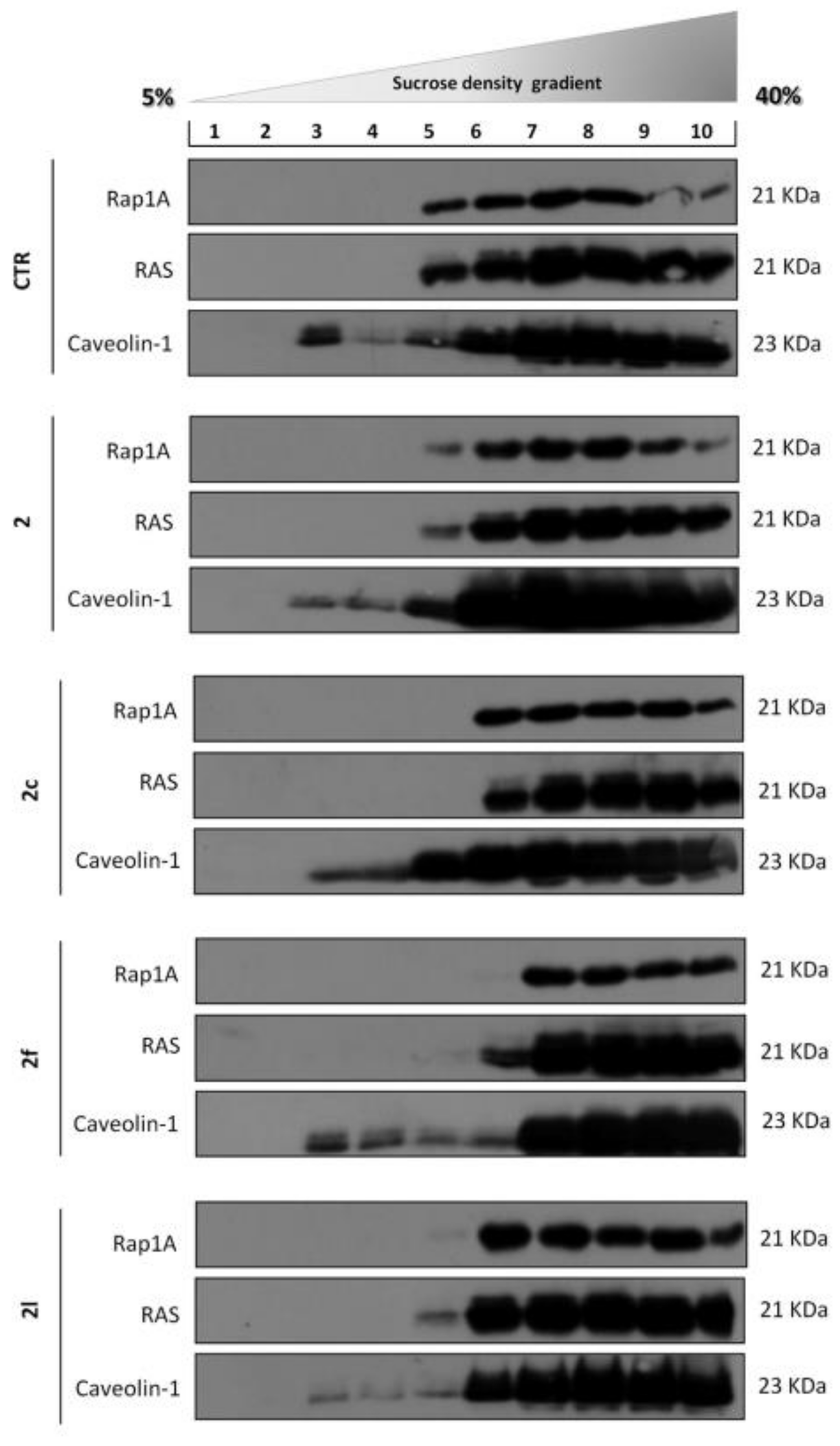 Molecules 26 07146 g007
