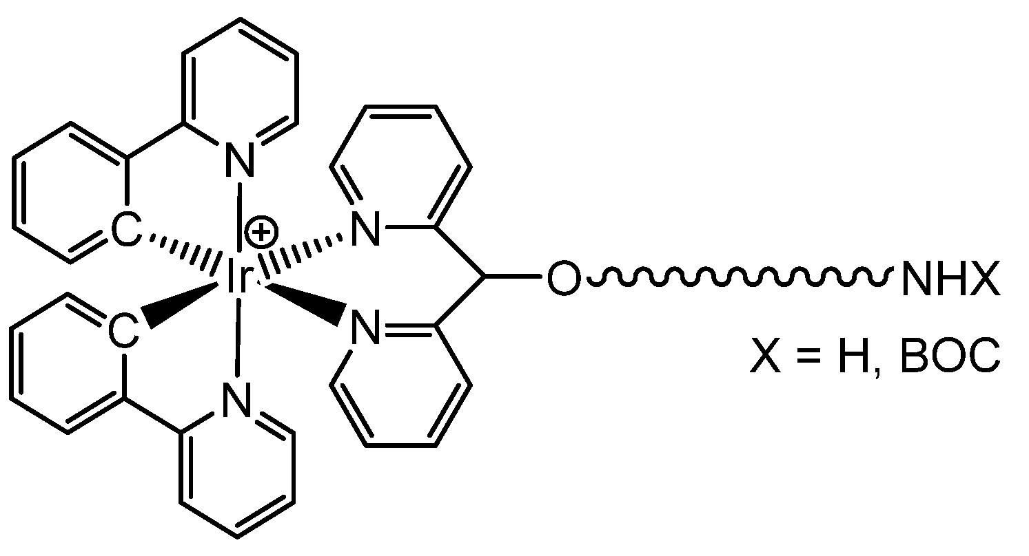 Molecules 26 07161 g003 550