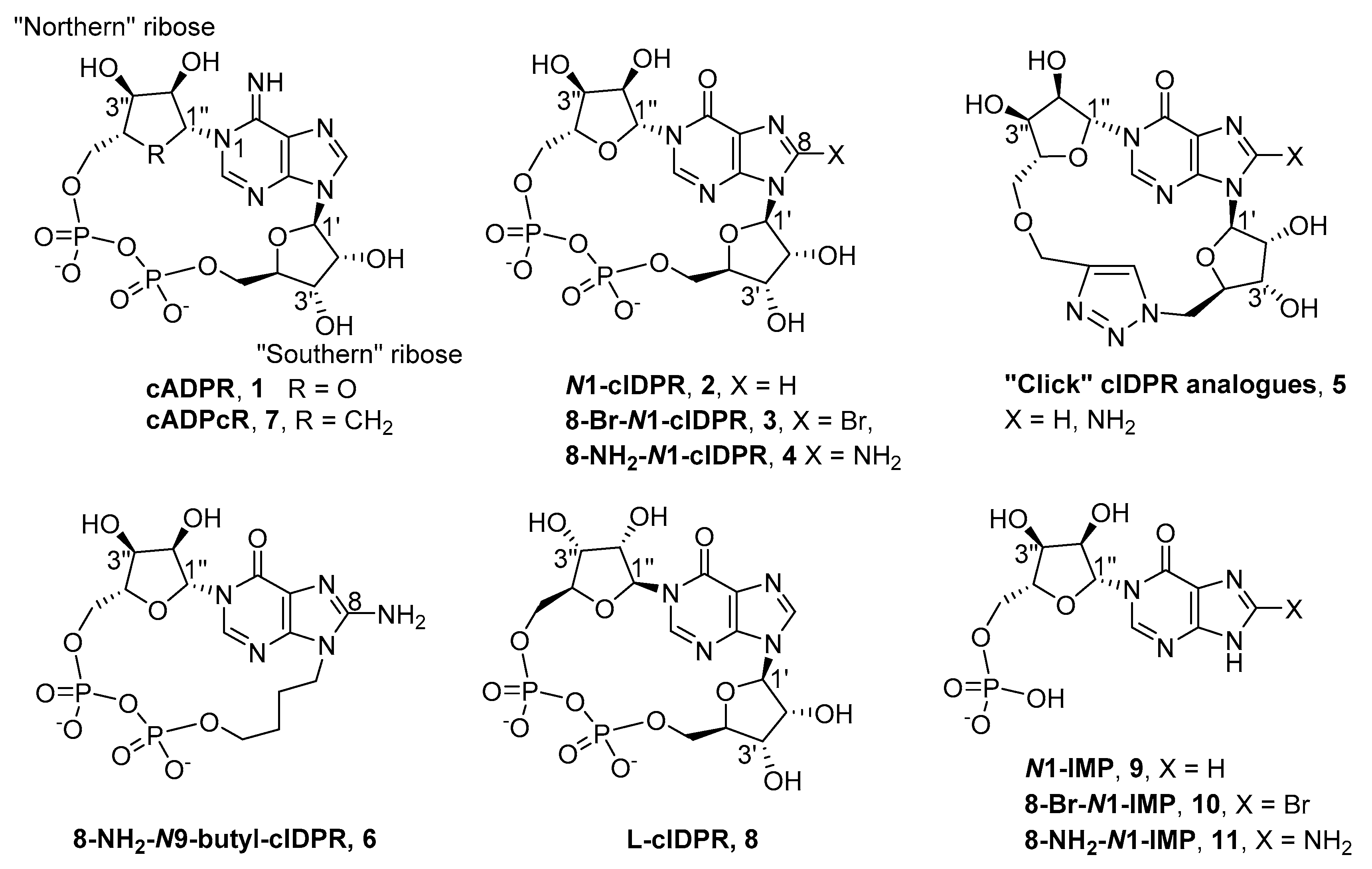 Molecules 26 07165 g002 550