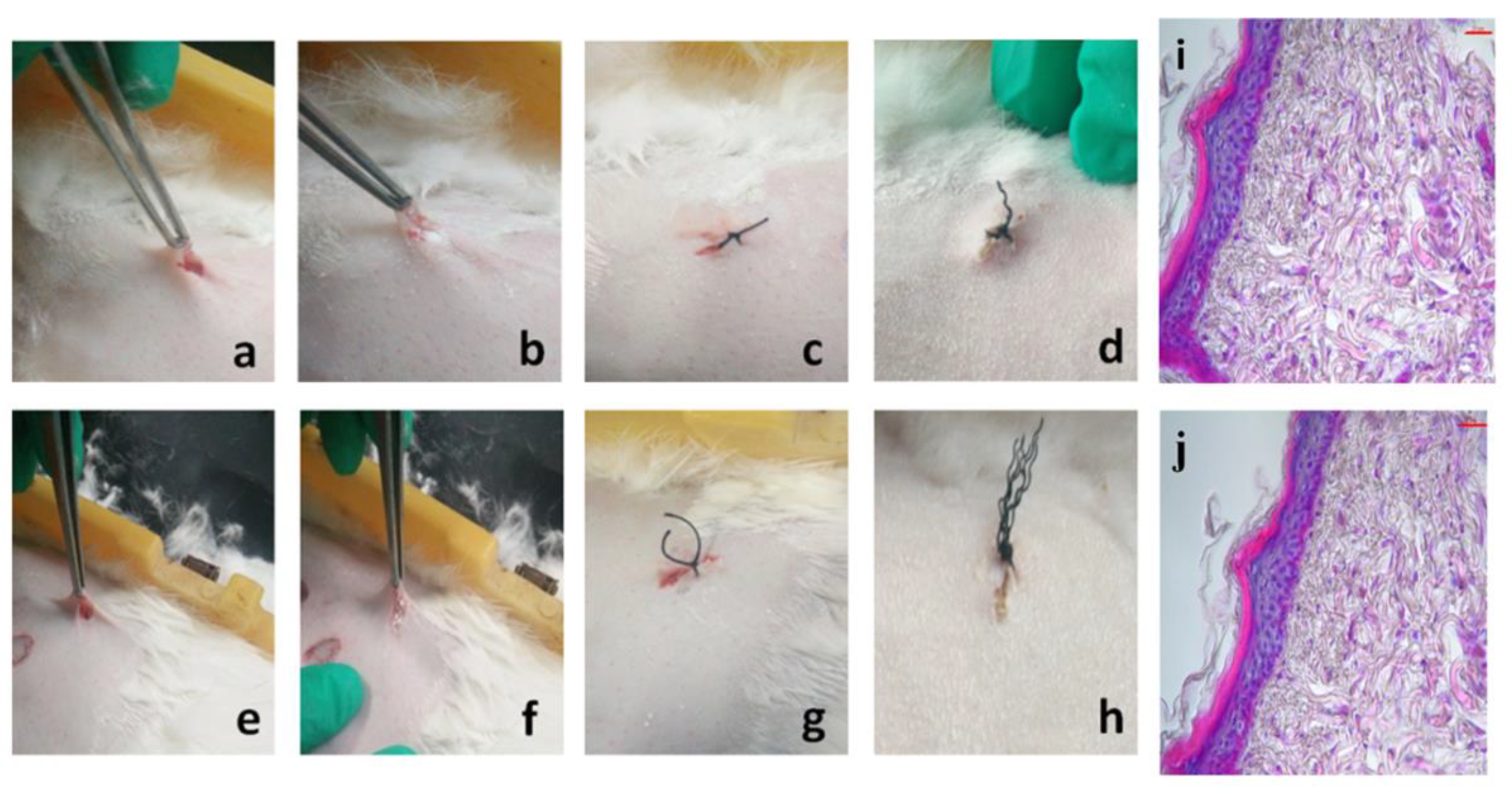 Molecules 26 07169 g007