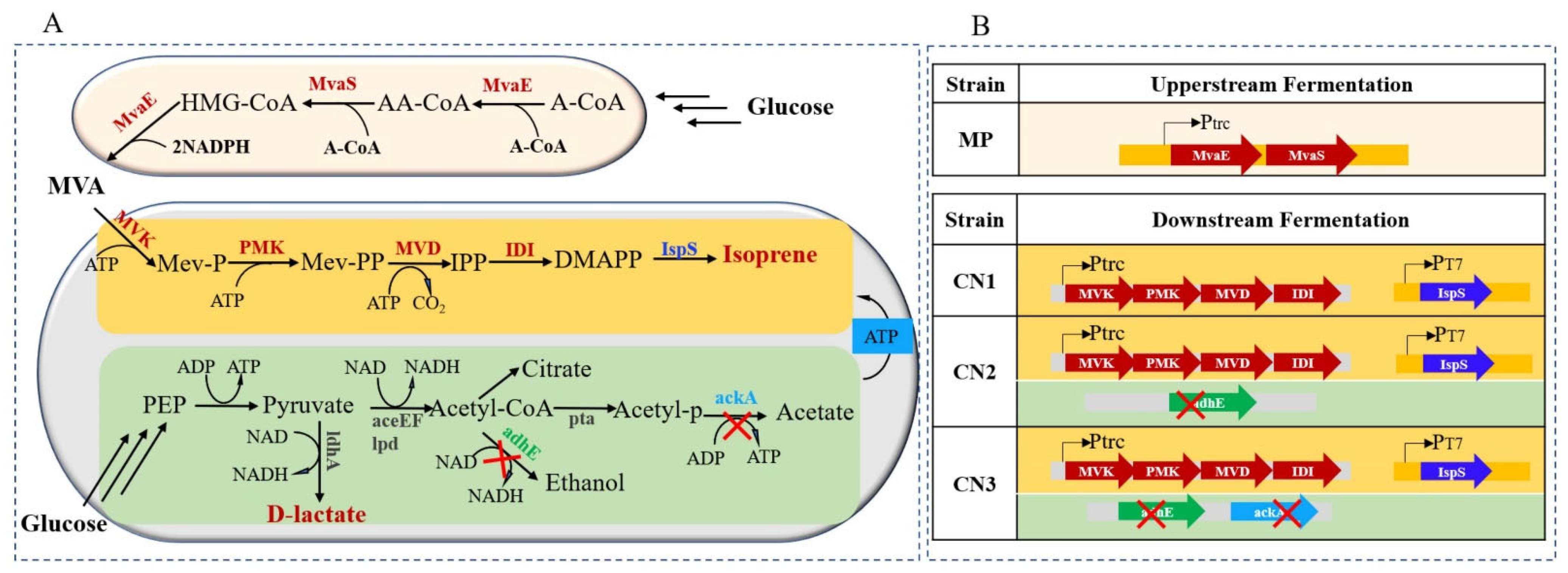 Molecules 26 07173 g001