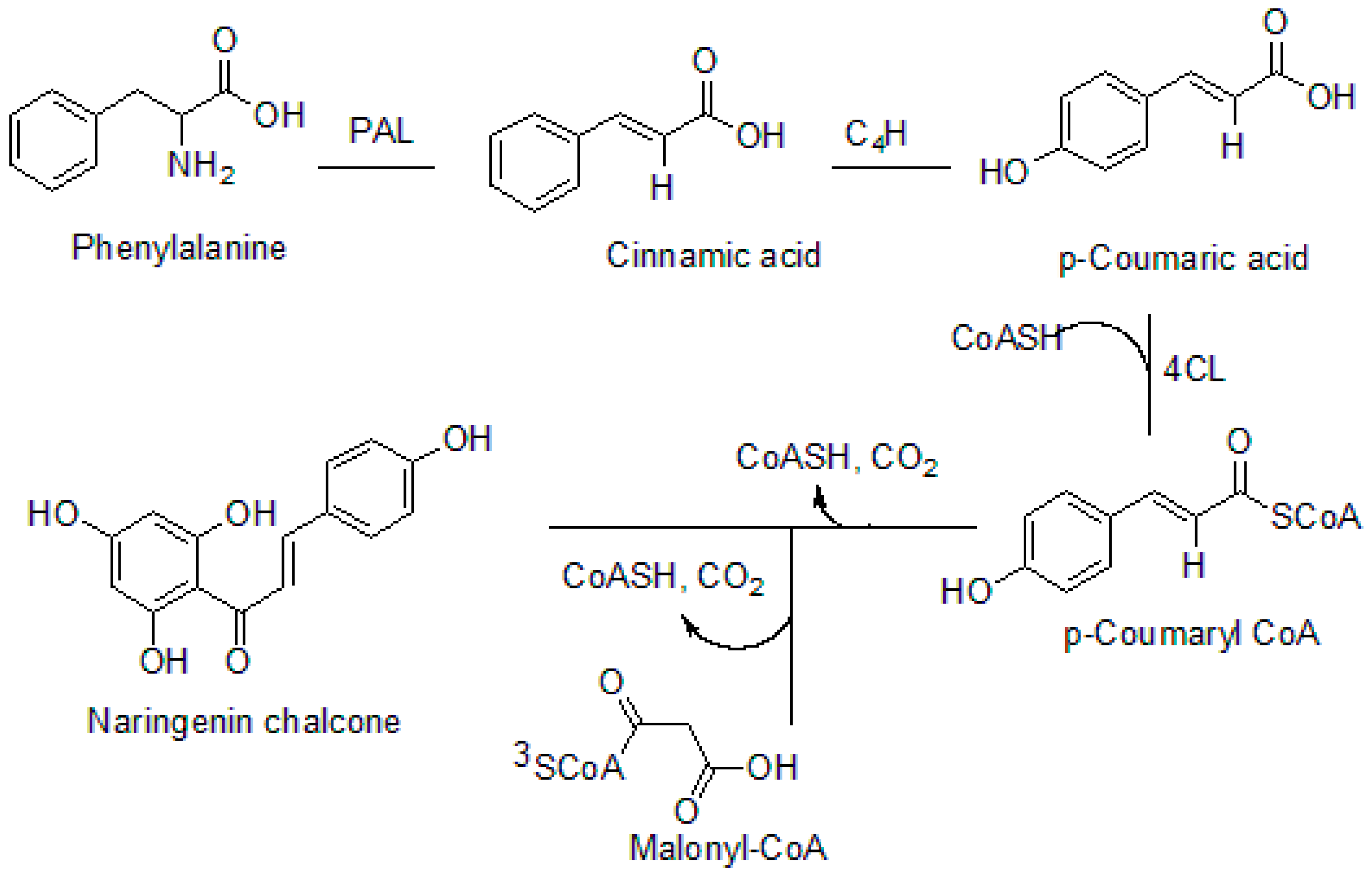 Molecules 26 07177 g002 Molecules 26 07177 g002
