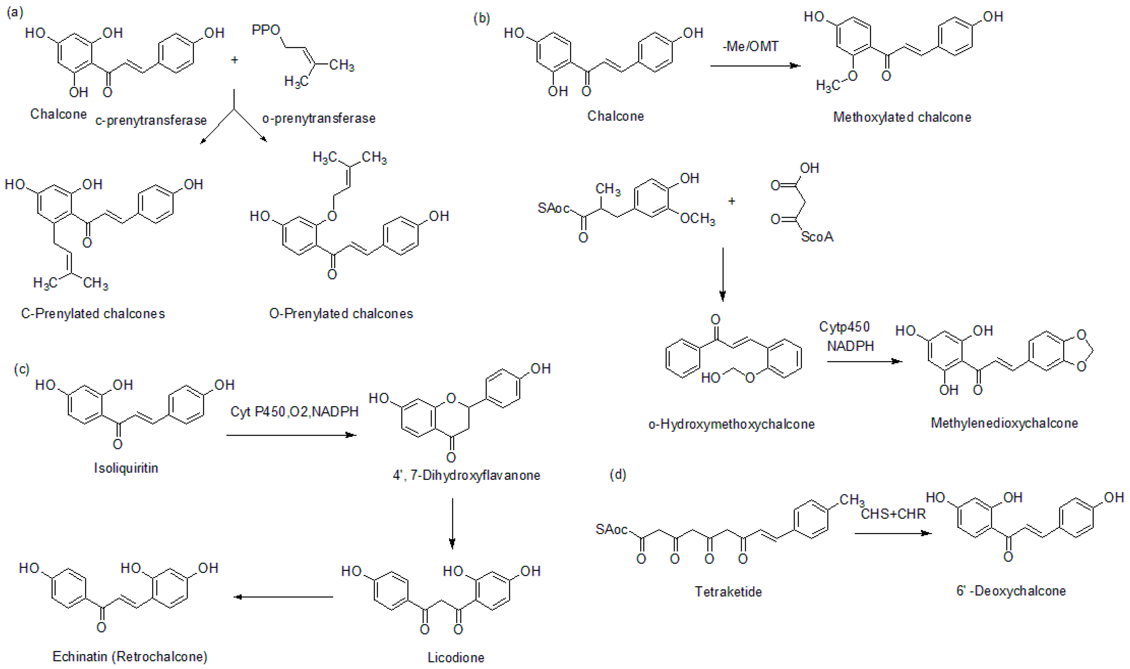 Molecules 26 07177 g004 Molecules 26 07177 g004
