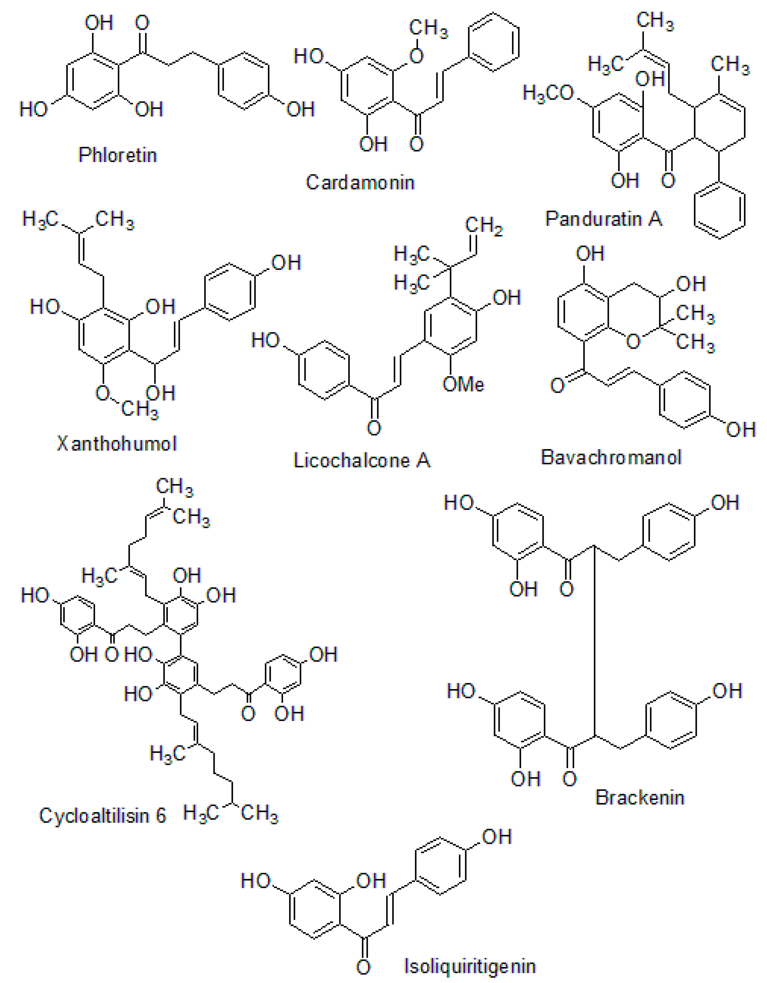 Molecules 26 07177 g006 Molecules 26 07177 g006