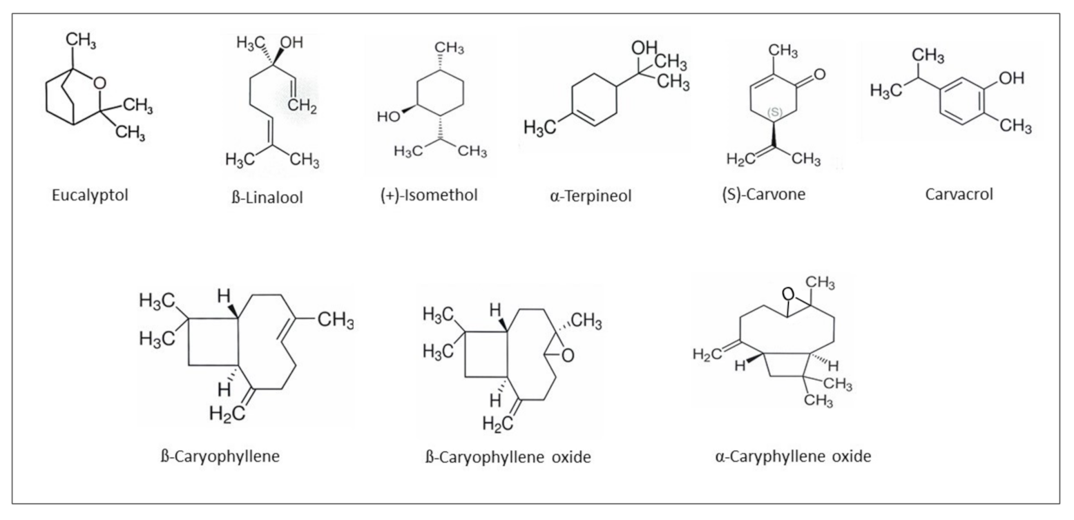 Molecules 26 07188 g001